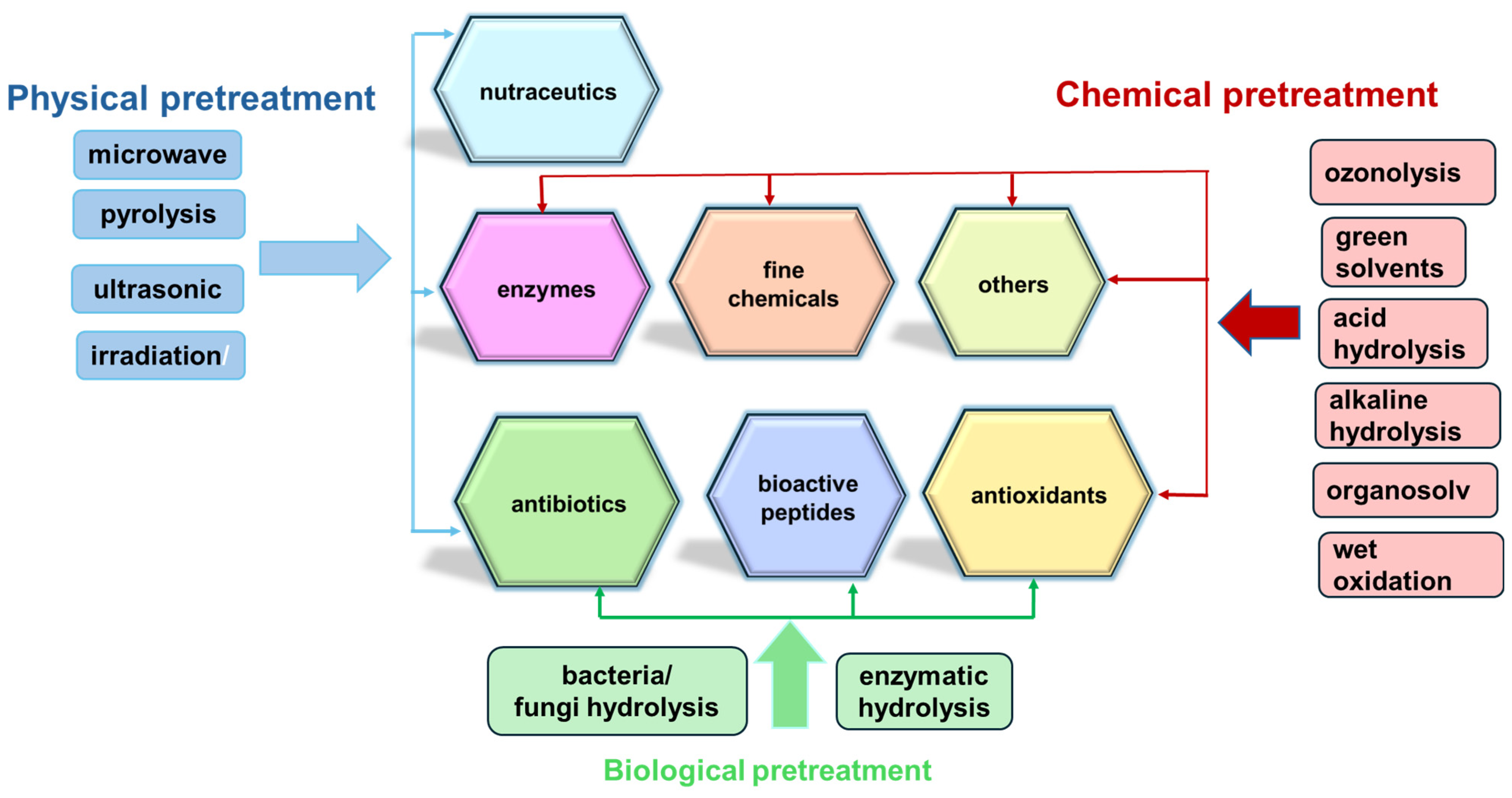 Plants 13 02133 g001
