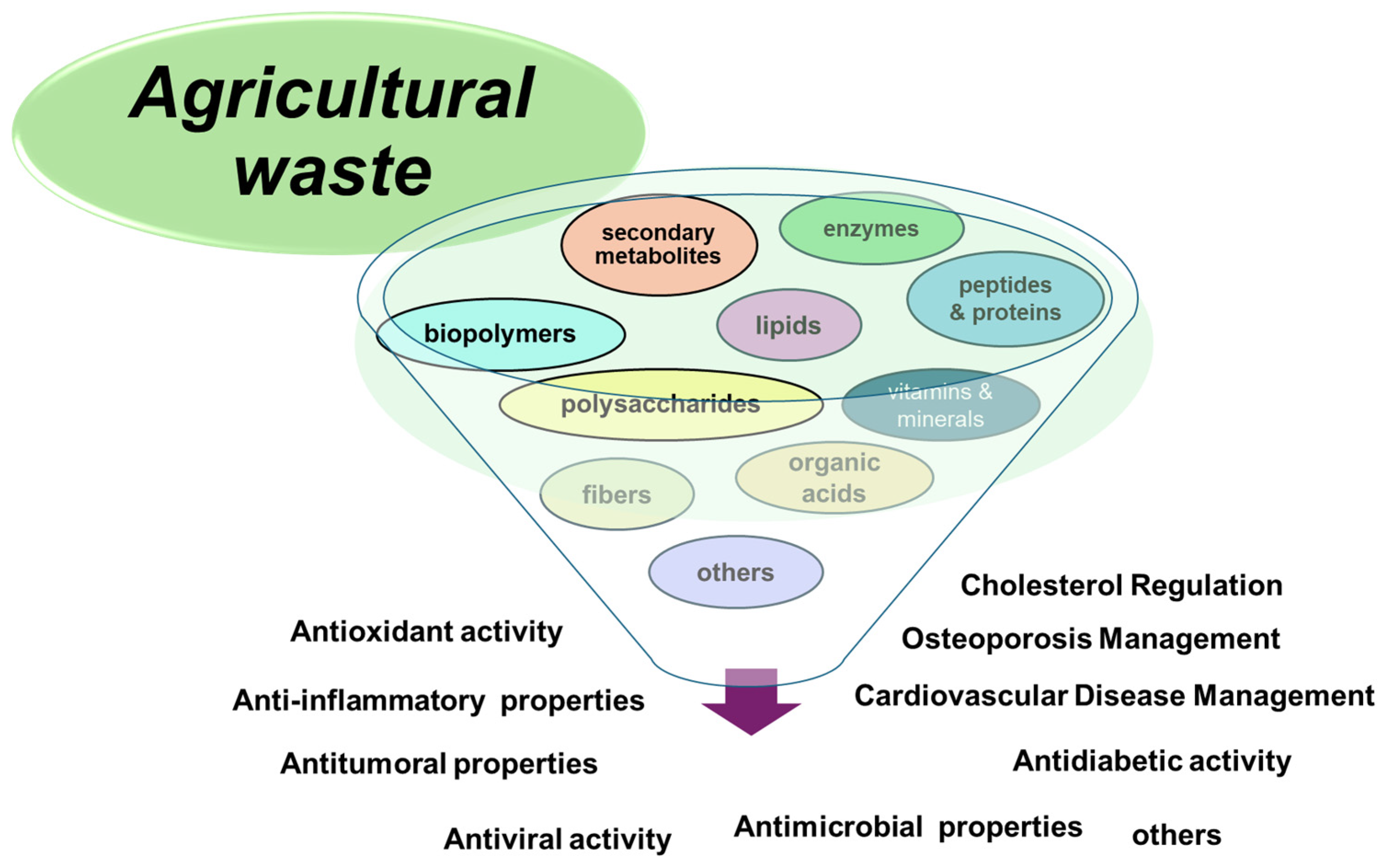 Plants 13 02133 g003