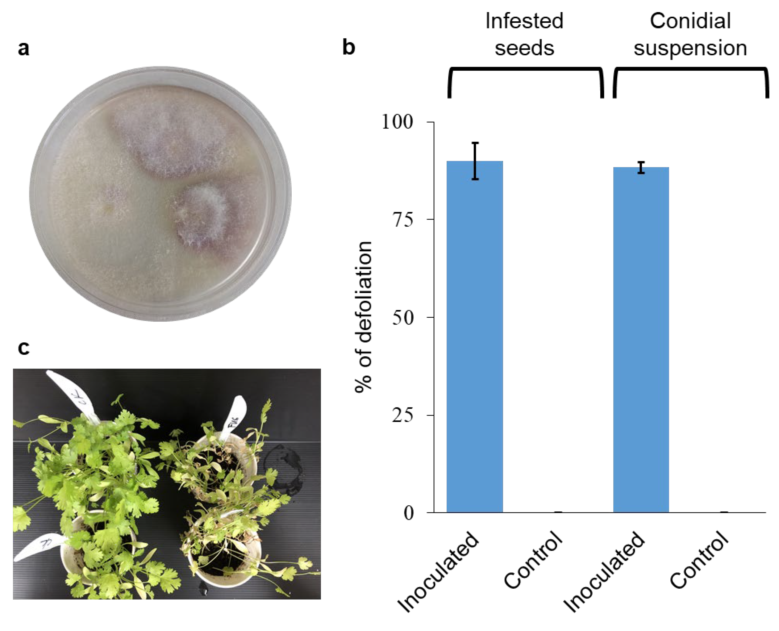 Plants 13 02135 g003