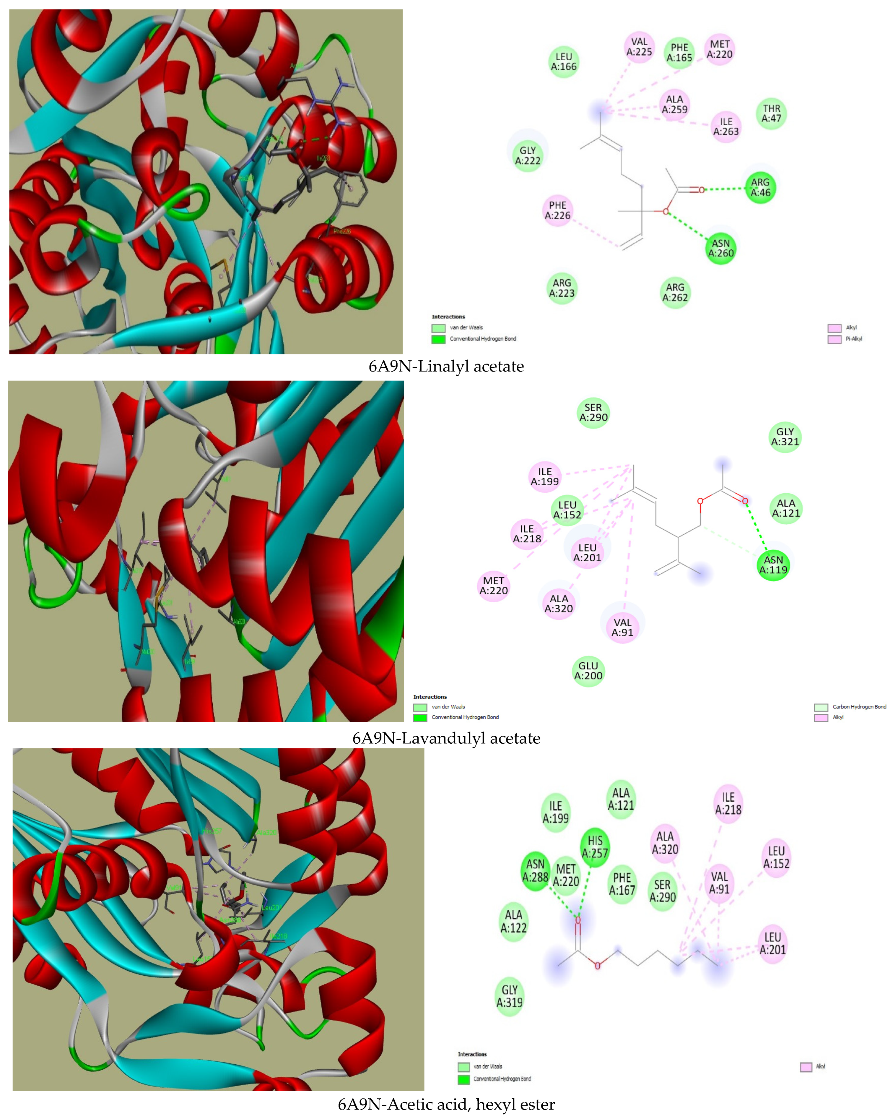 Plants 13 02136 g001b