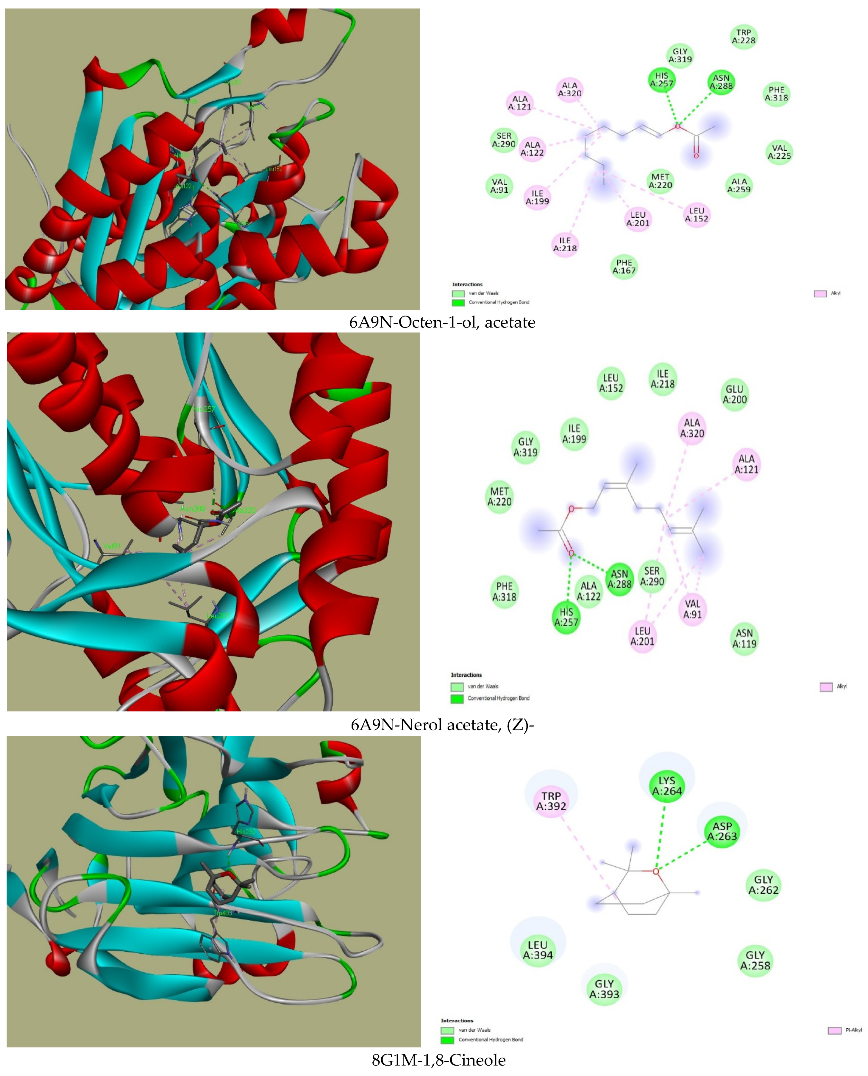 Plants 13 02136 g001c