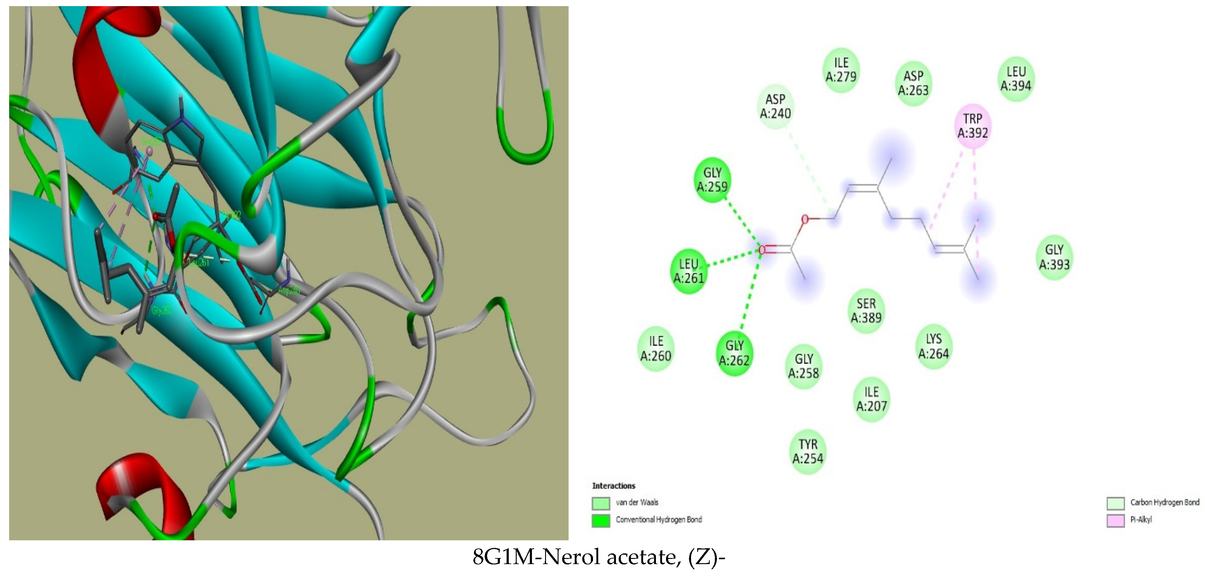 Plants 13 02136 g001e