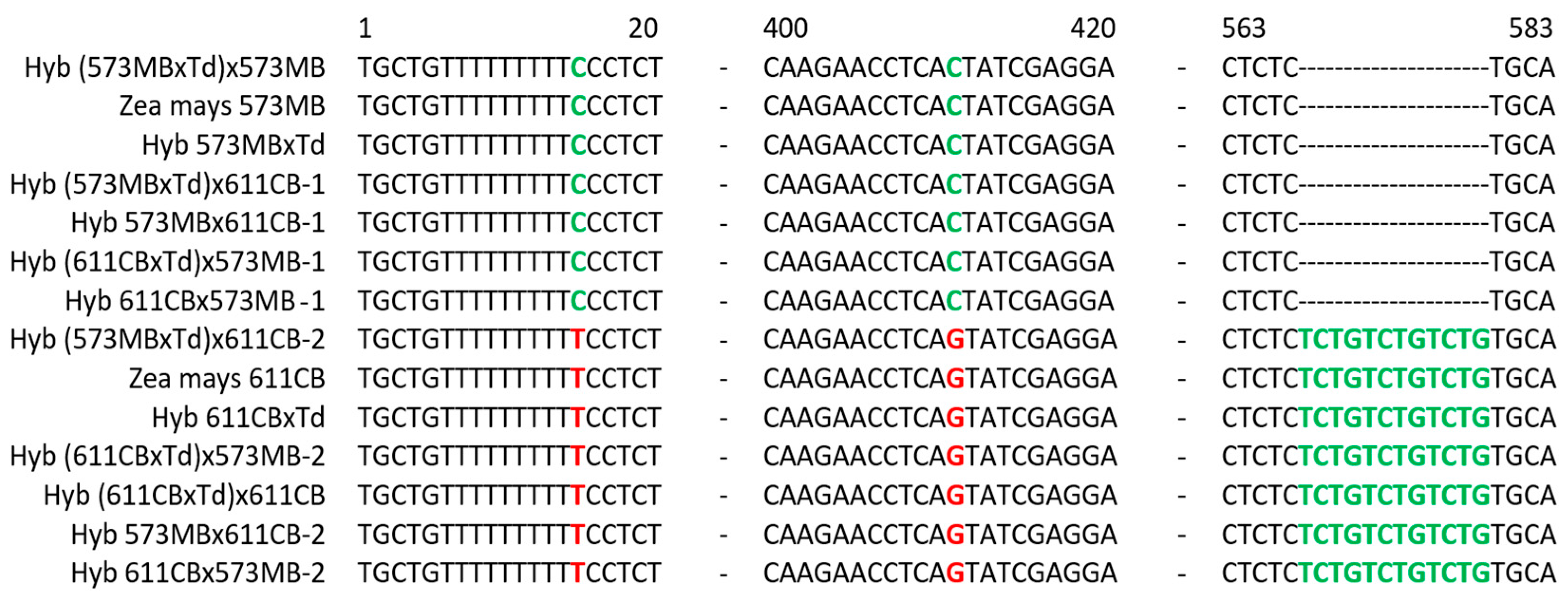 Plants 13 02138 g005