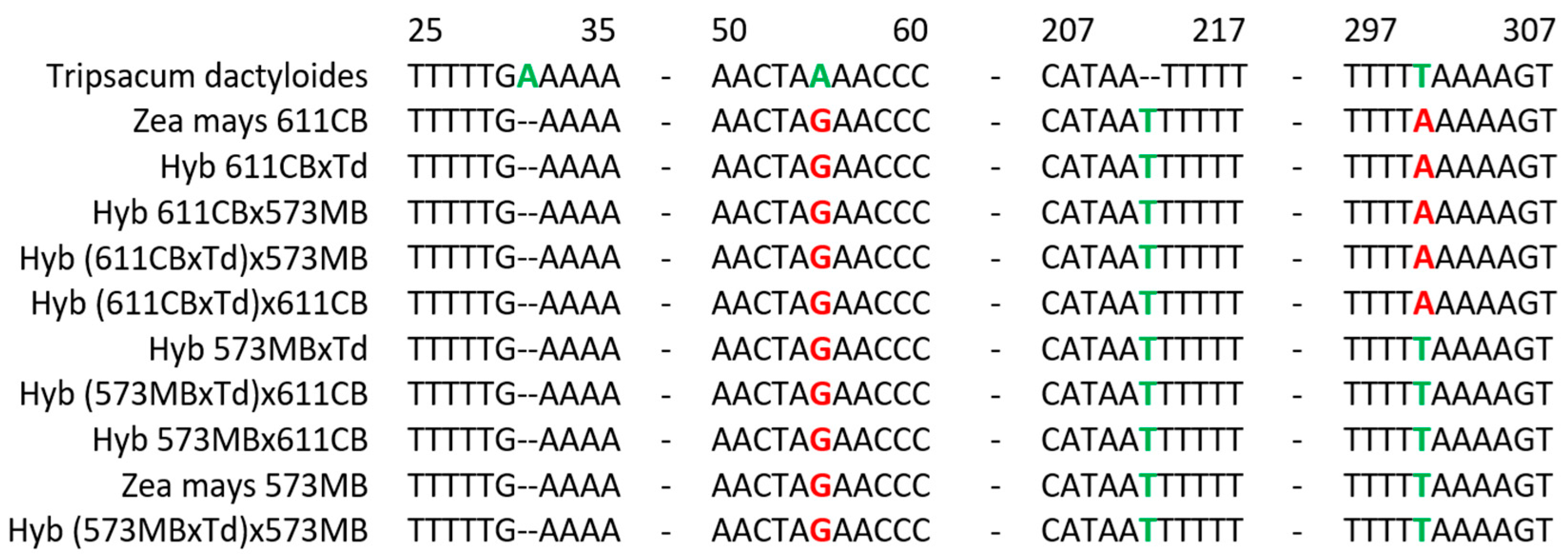 Plants 13 02138 g006