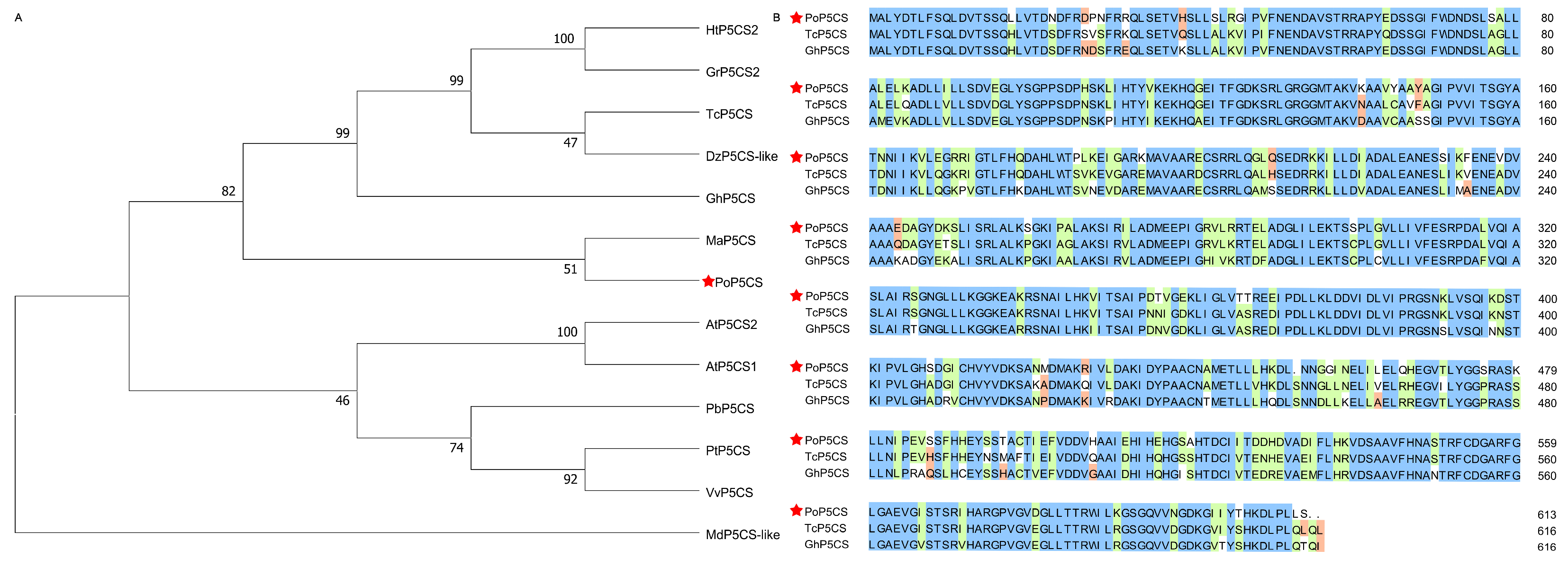Plants 13 02145 g001