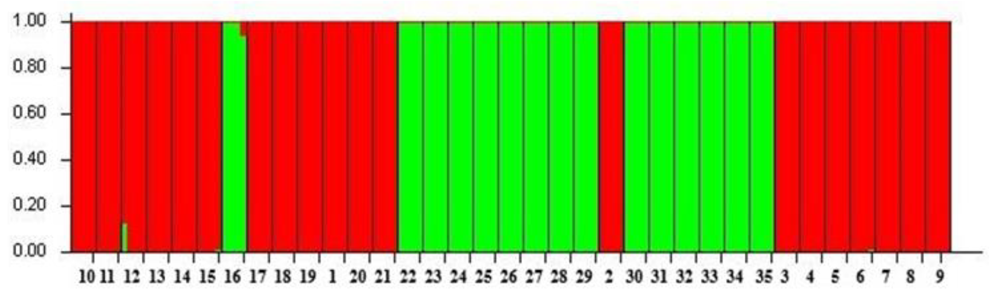 Plants 13 02147 g002 Plants 13 02147 g002