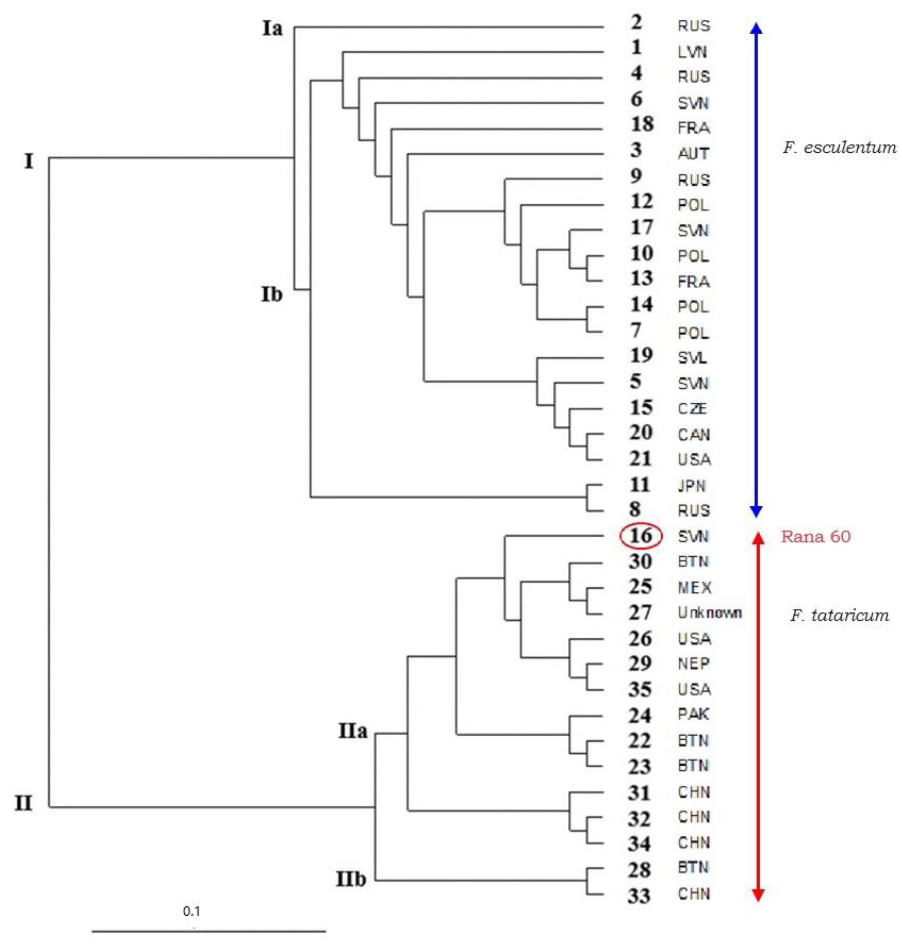 Plants 13 02147 g003 Plants 13 02147 g003