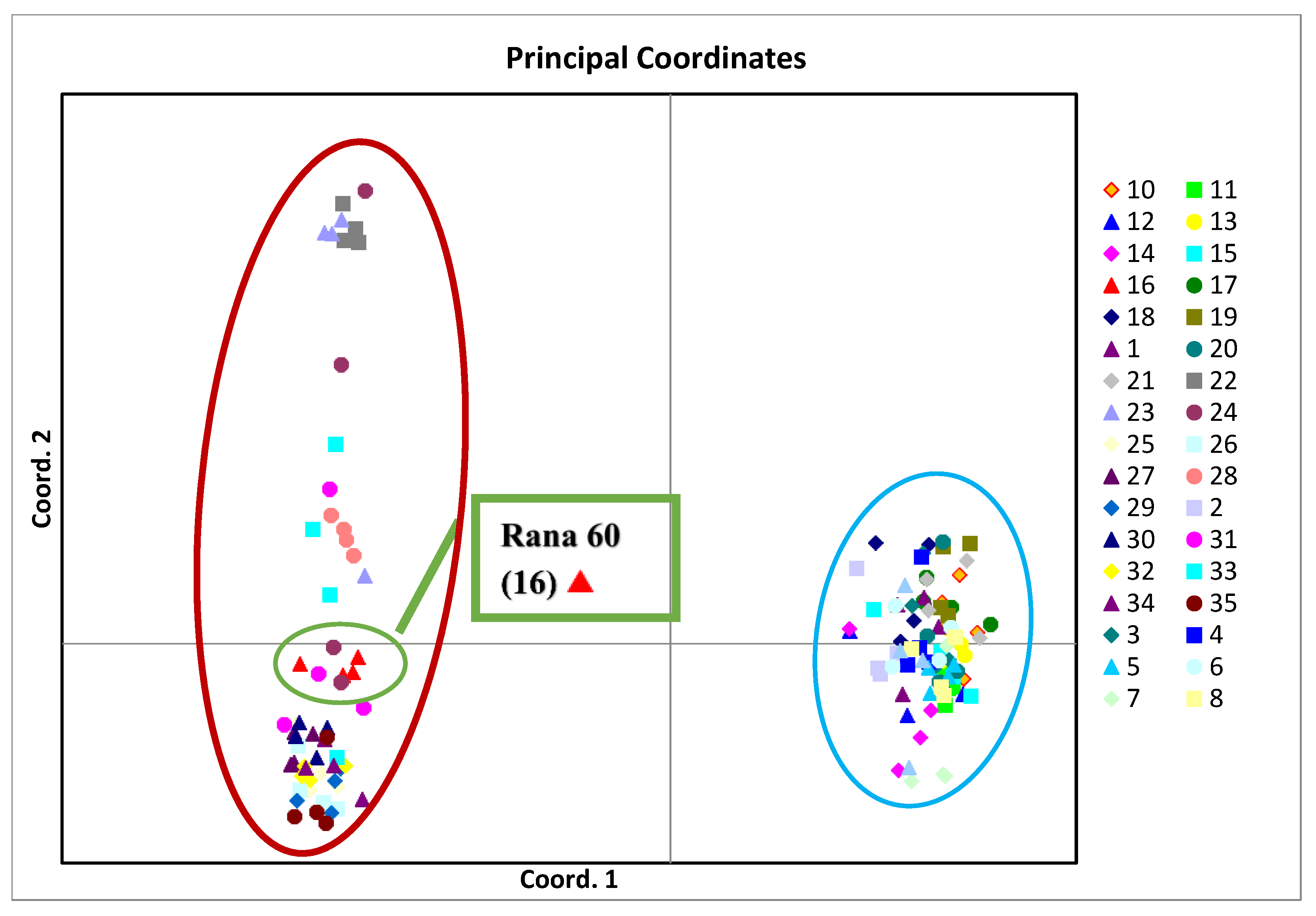 Plants 13 02147 g004 Plants 13 02147 g004