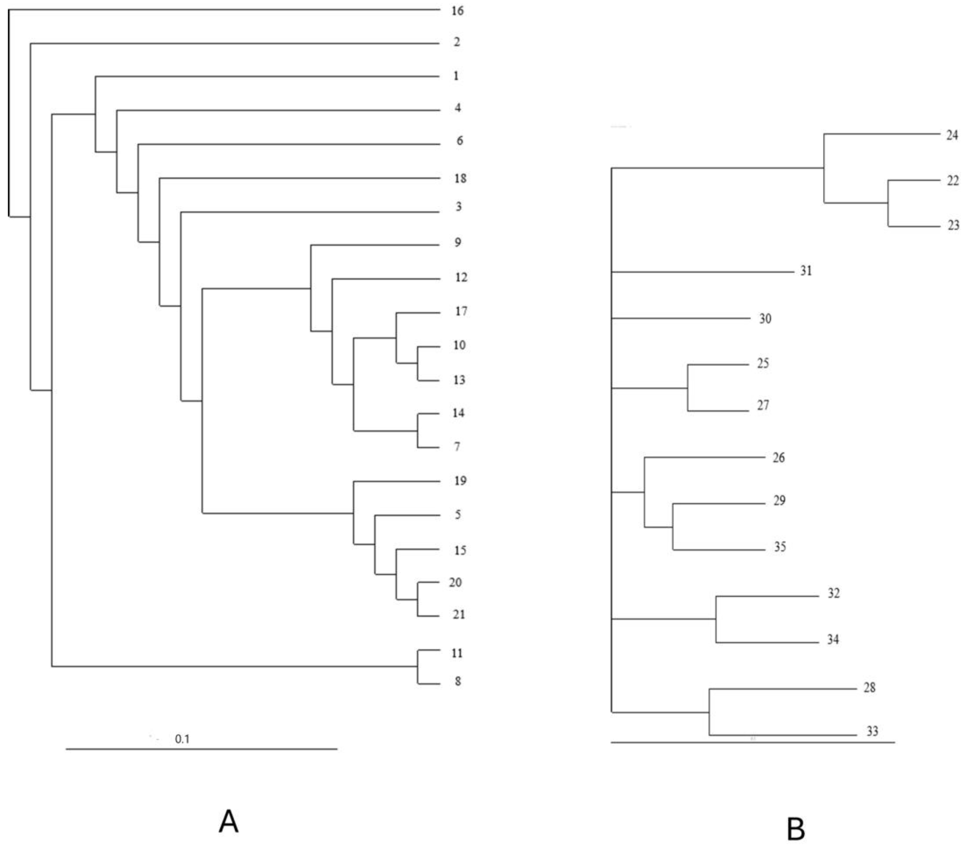 Plants 13 02147 g006 Plants 13 02147 g006