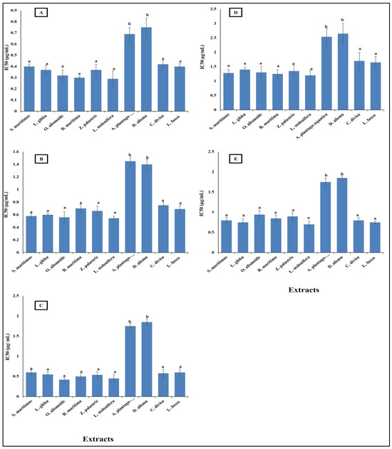 Plants 13 02148 g003