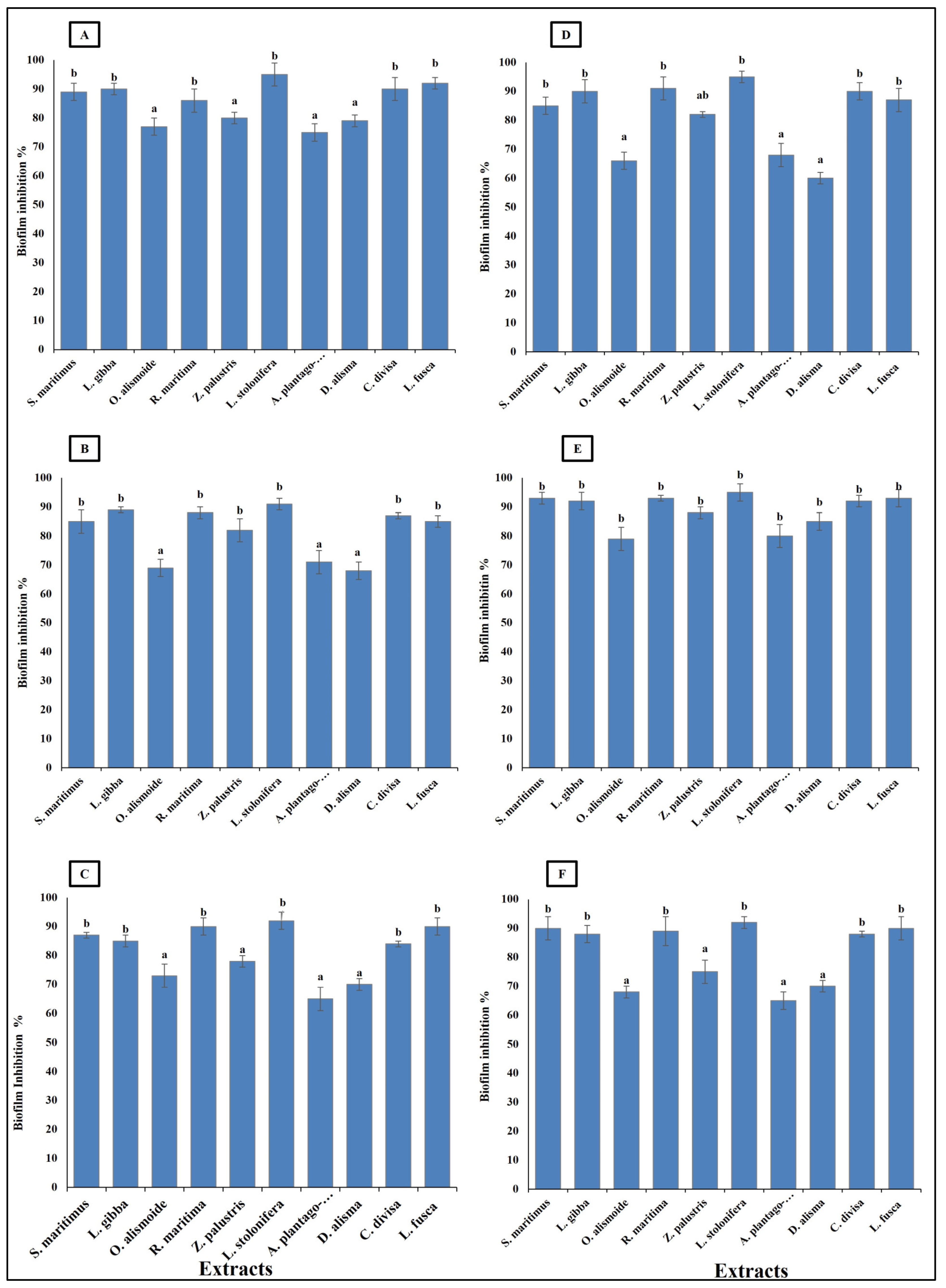 Plants 13 02148 g006