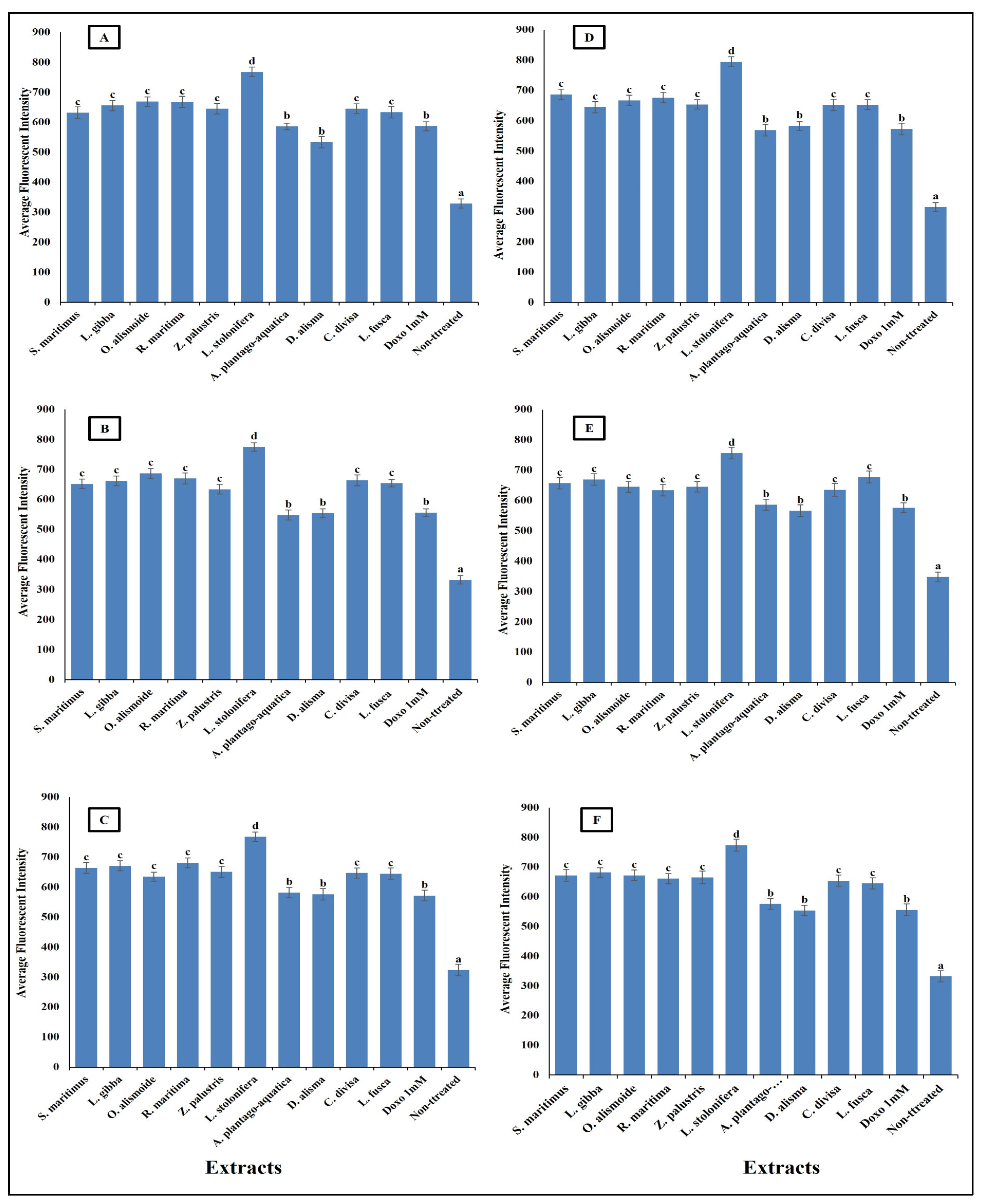 Plants 13 02148 g011