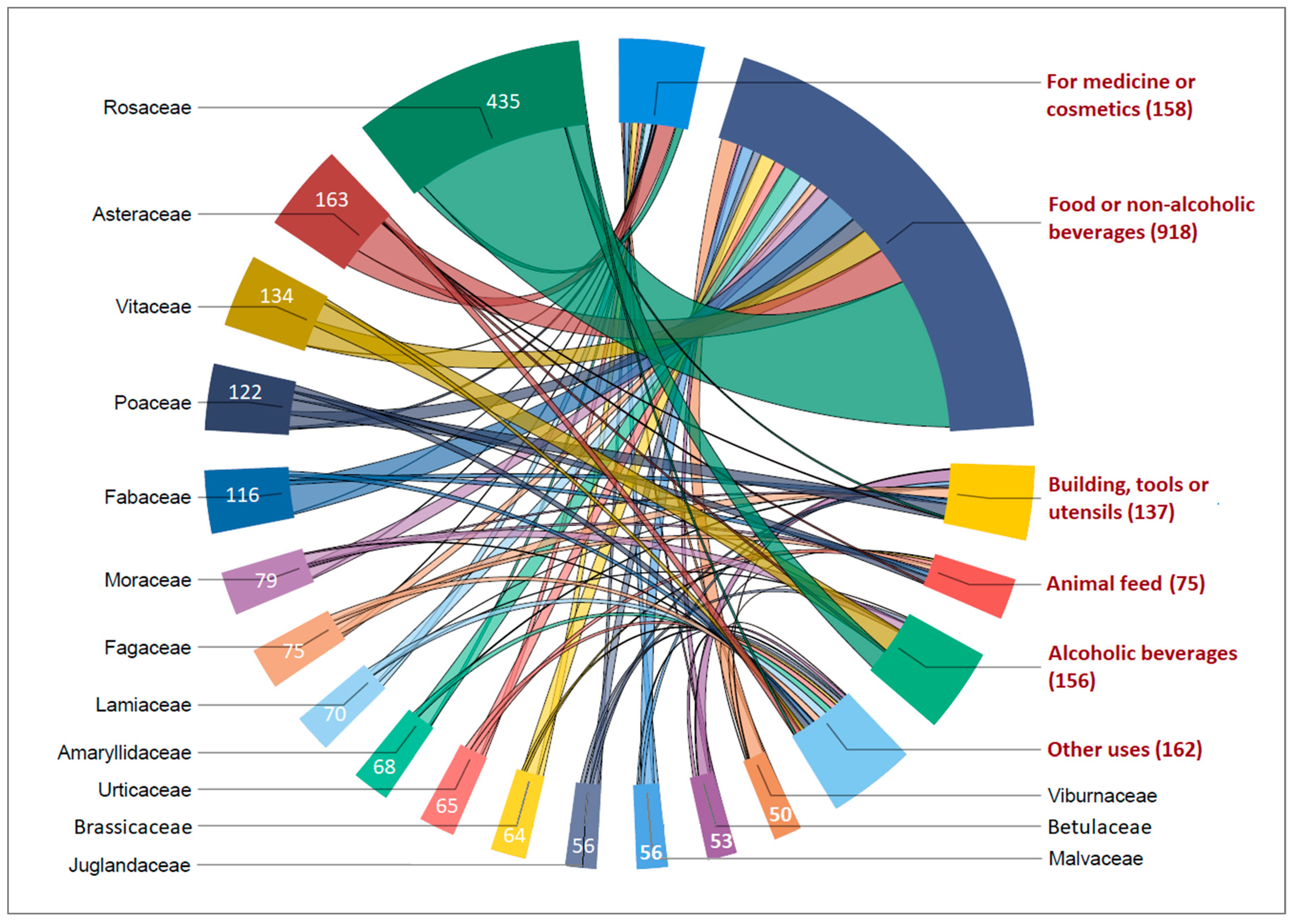 Plants 13 02153 g002