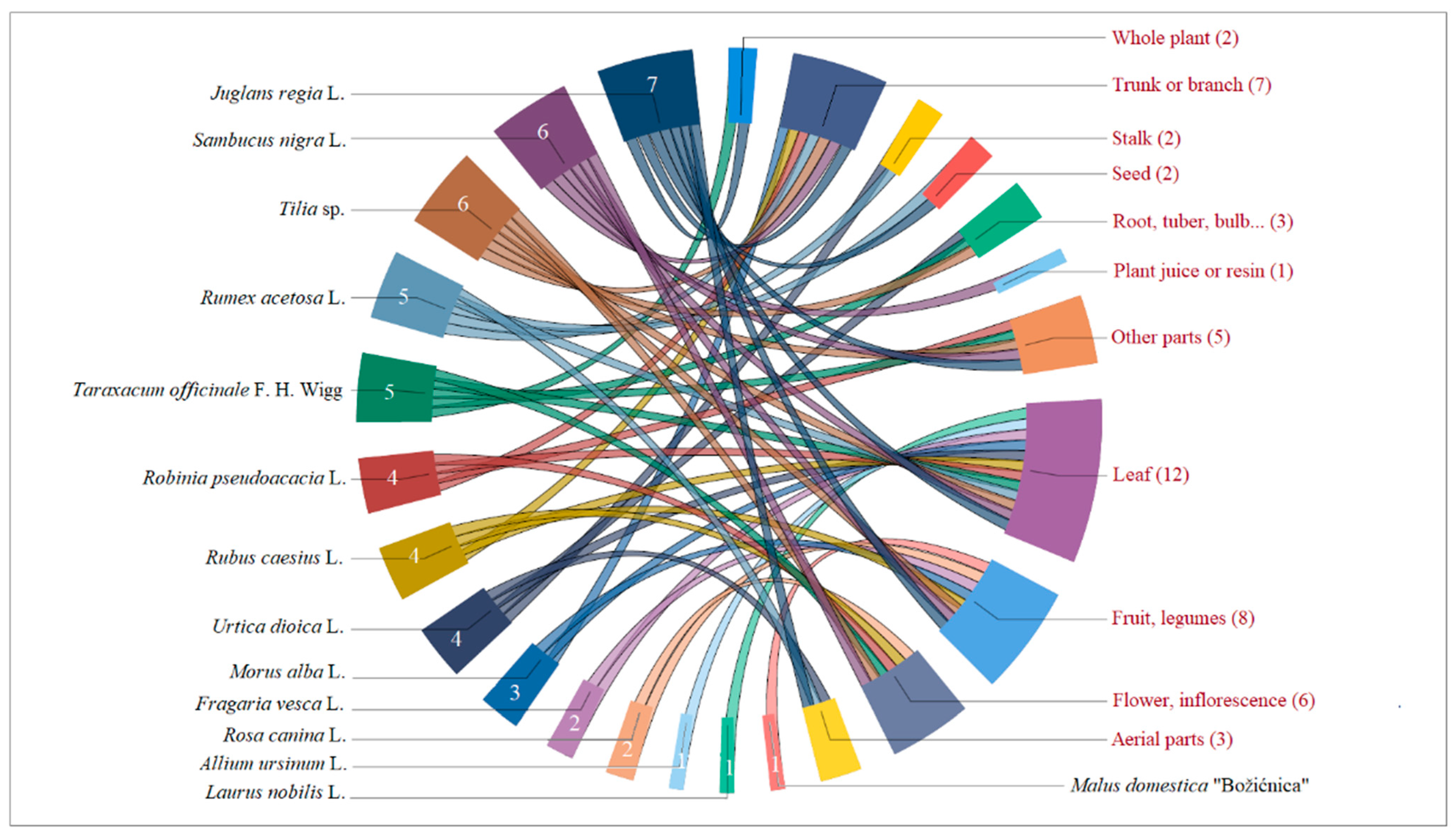 Plants 13 02153 g004