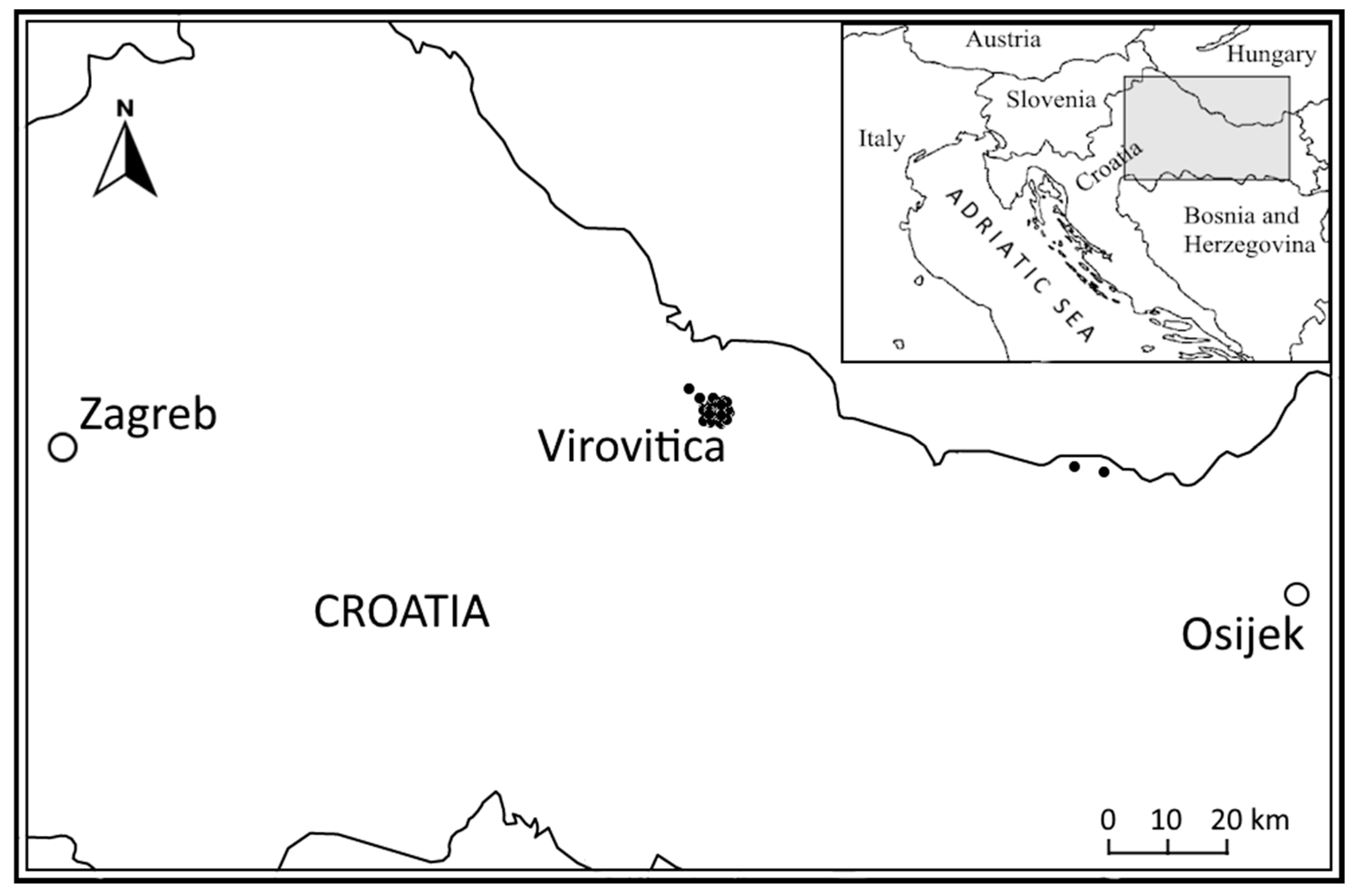 Plants 13 02153 g005