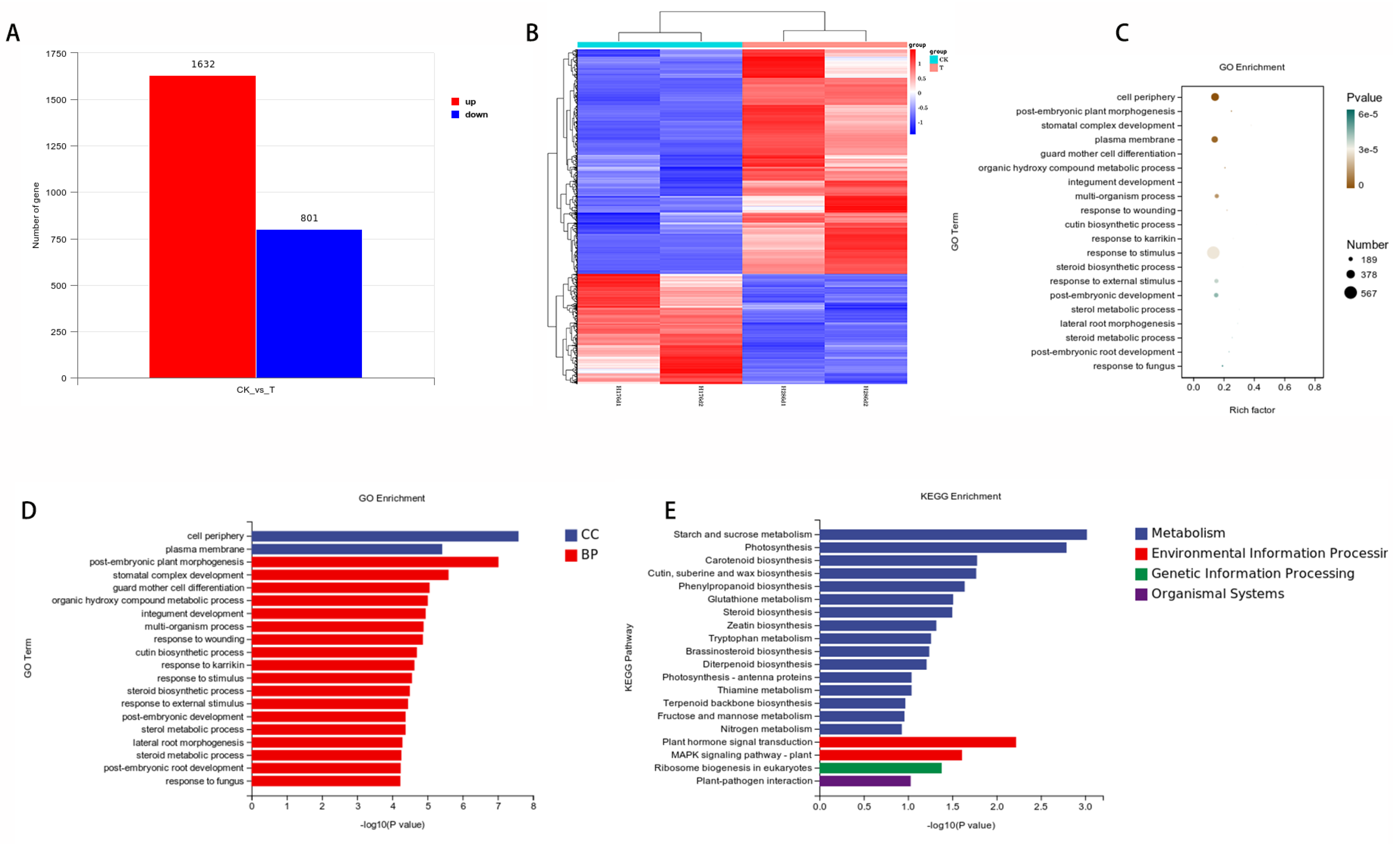 Plants 13 02154 g005
