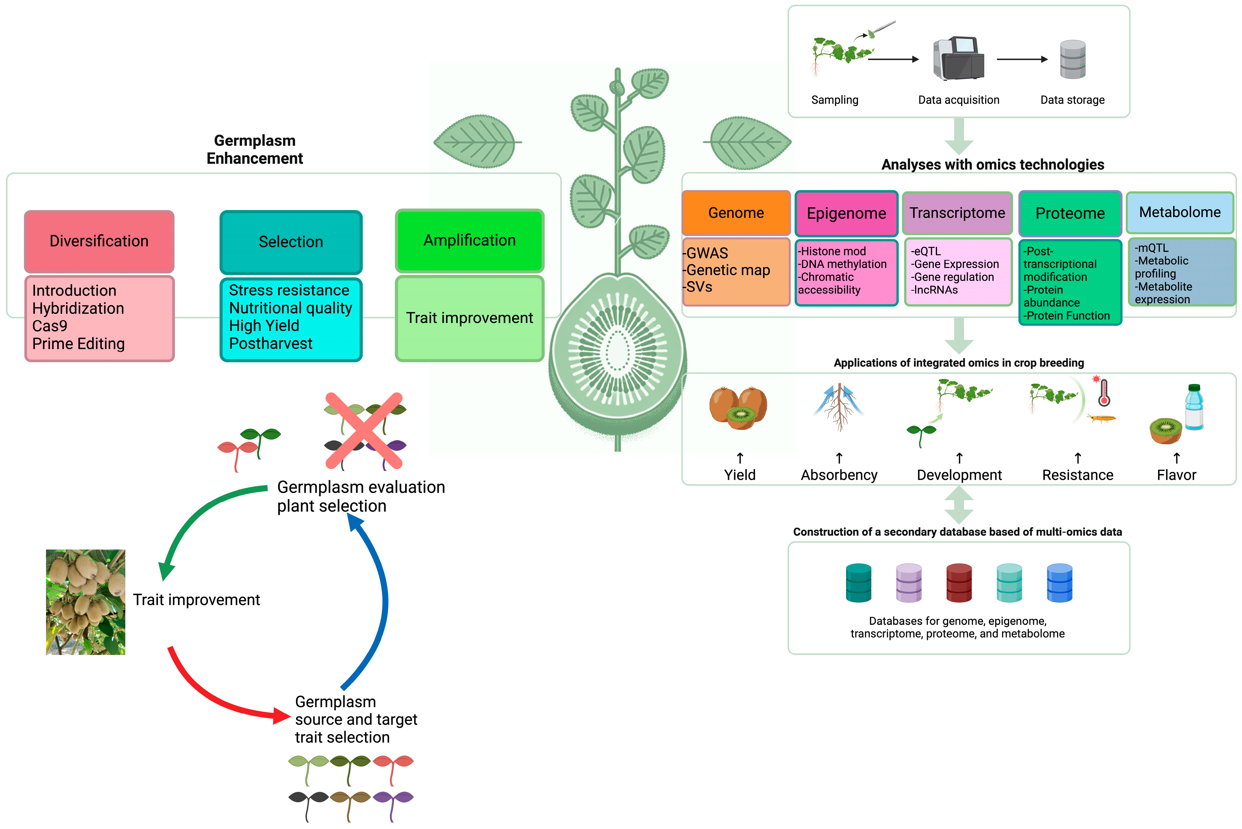 Plants 13 02156 g001