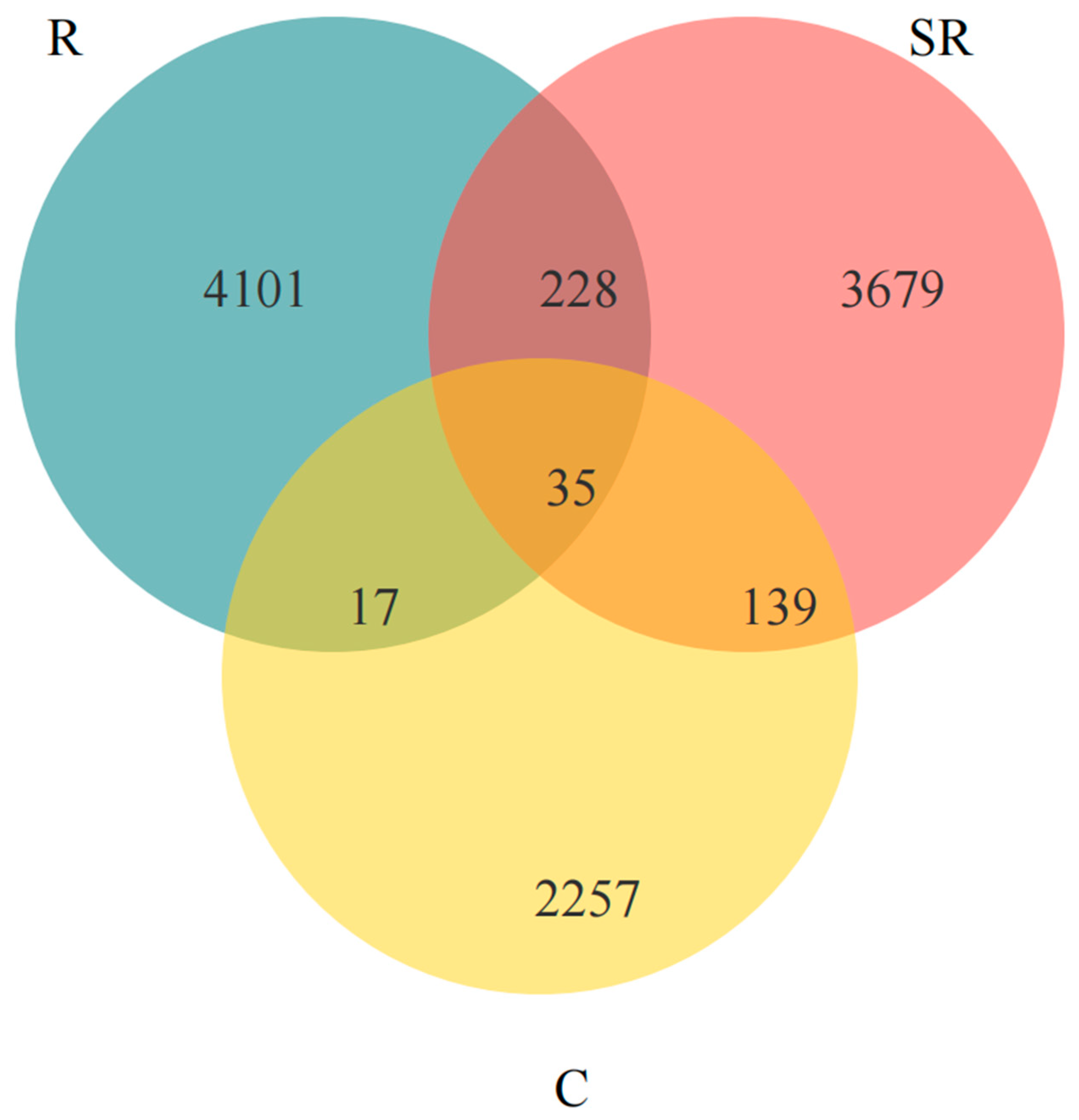 Plants 13 02159 g005