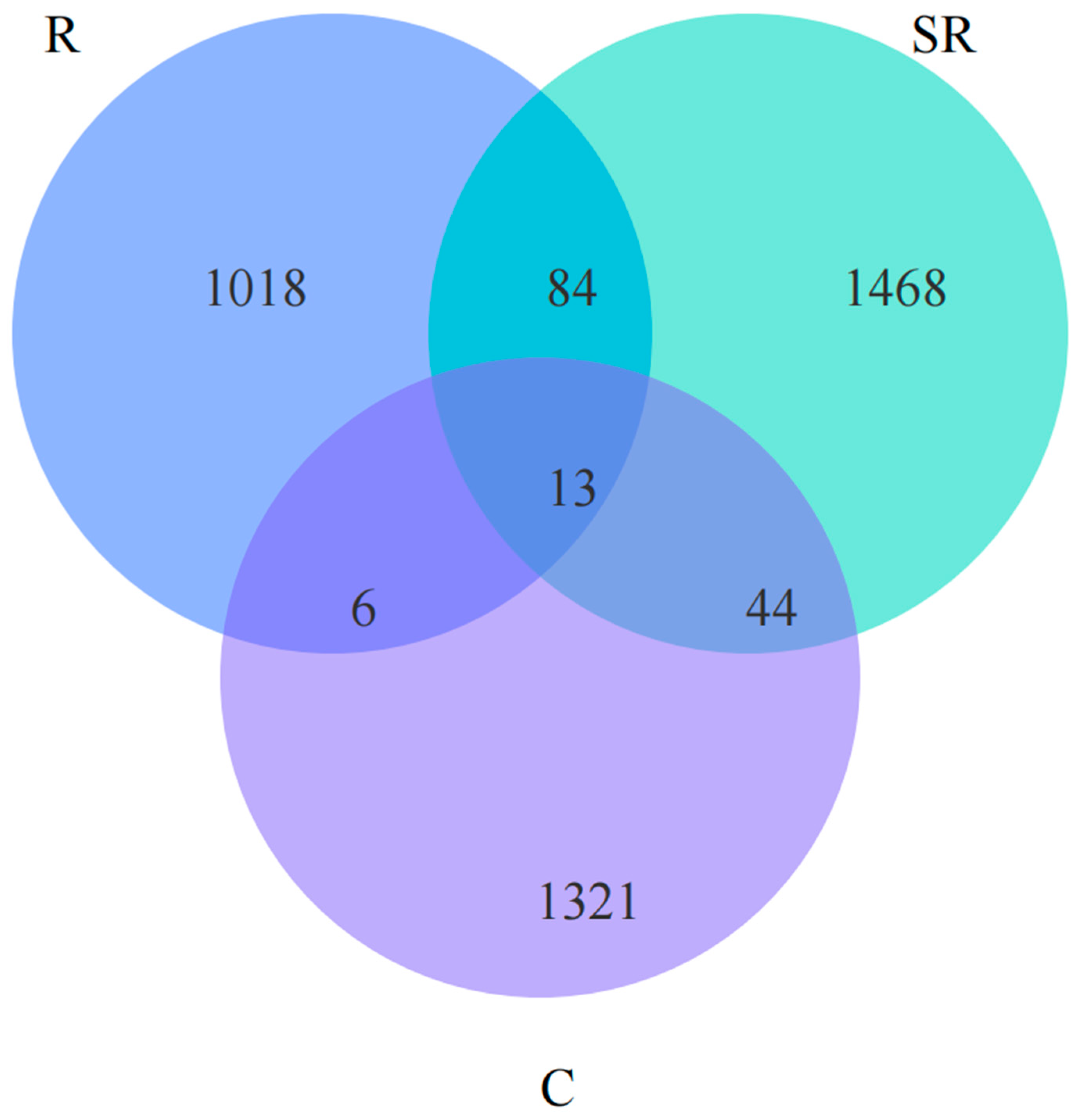 Plants 13 02159 g006