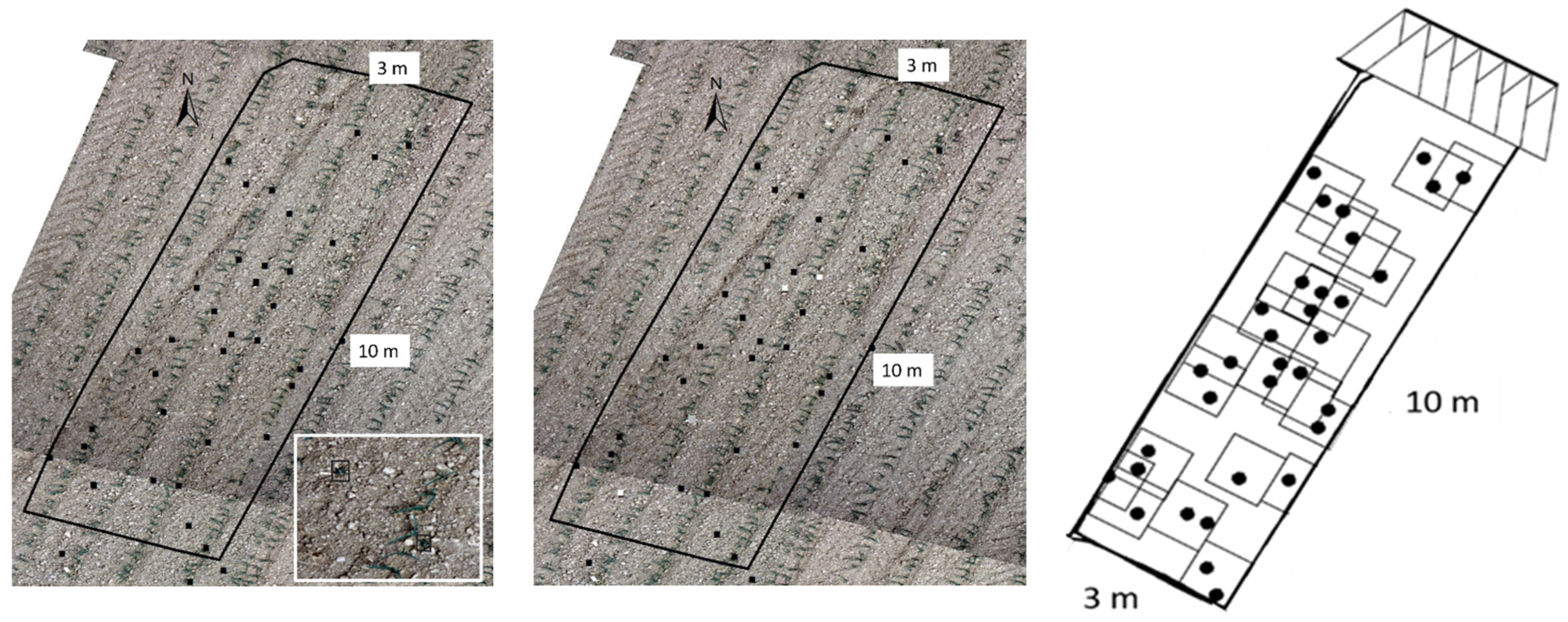 Plants 13 02164 g003