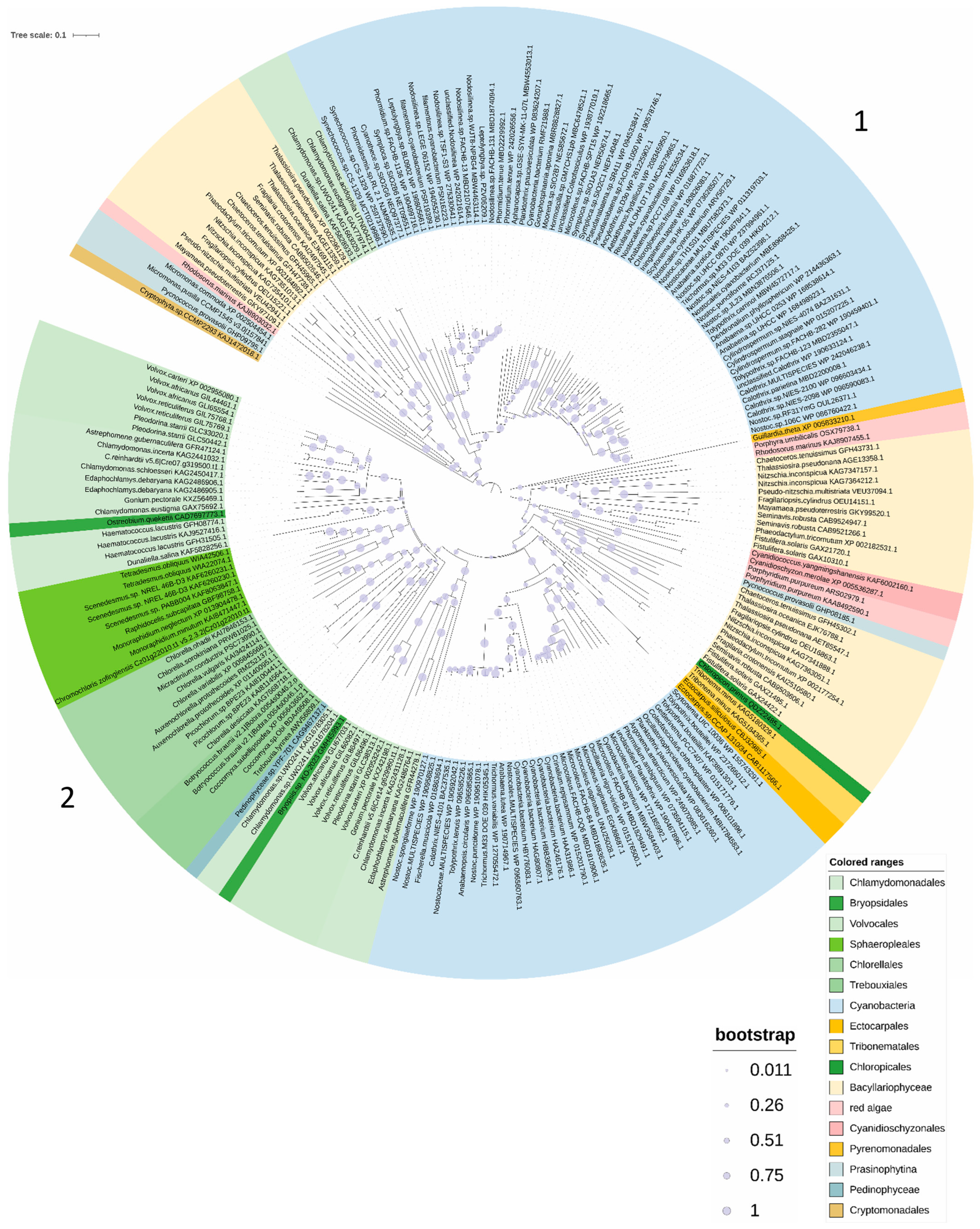 Plants 13 02165 g001