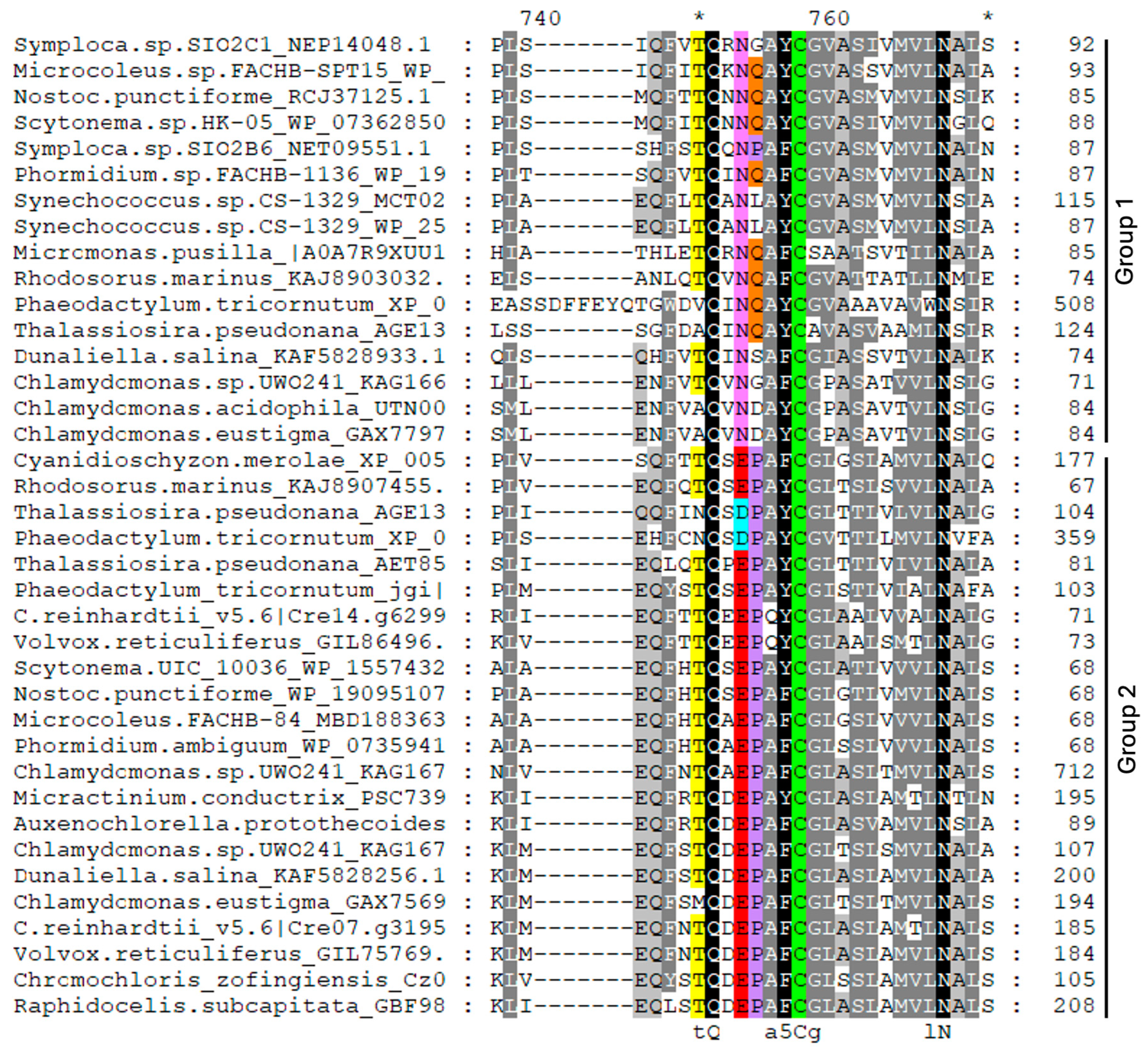 Plants 13 02165 g002