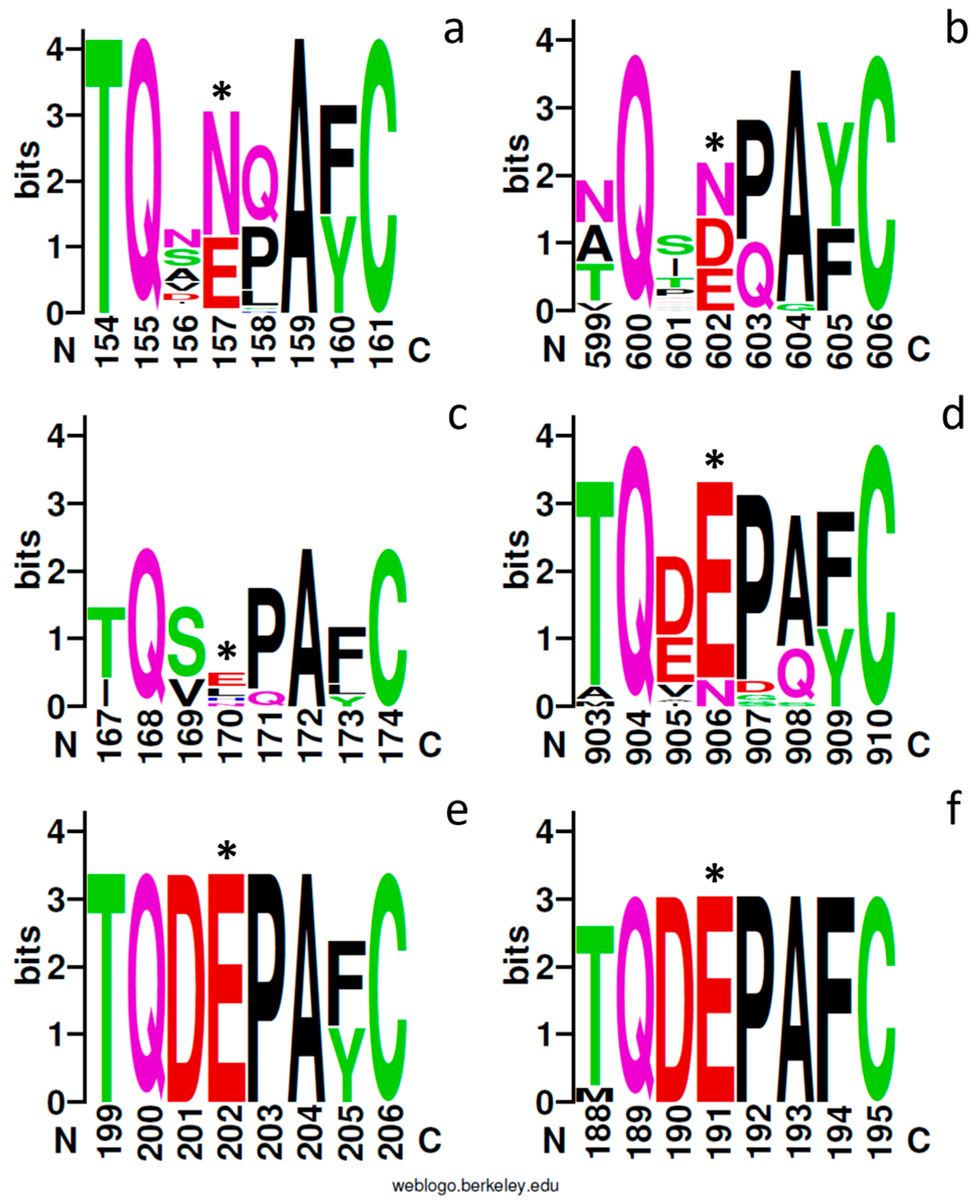 Plants 13 02165 g003