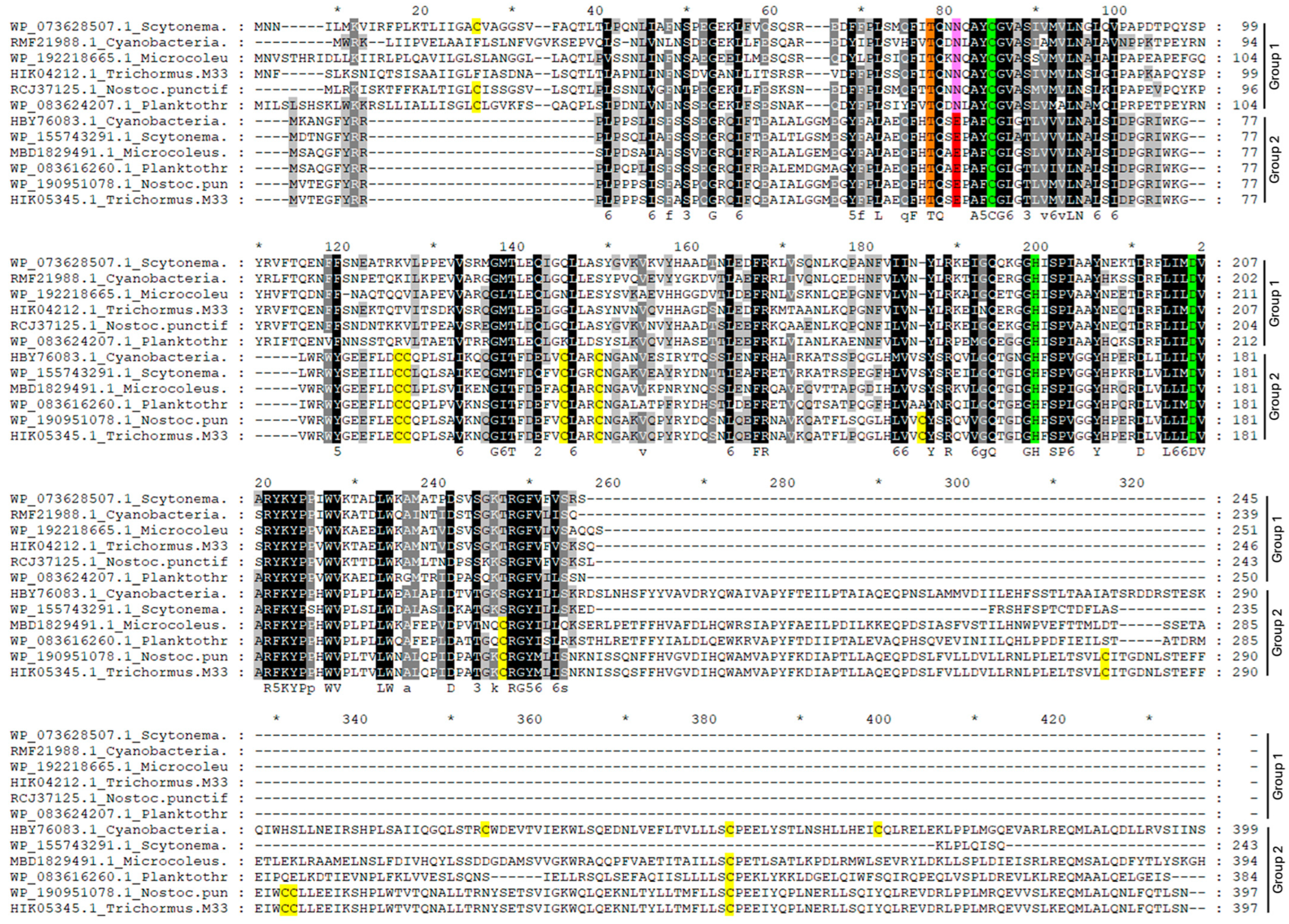 Plants 13 02165 g004