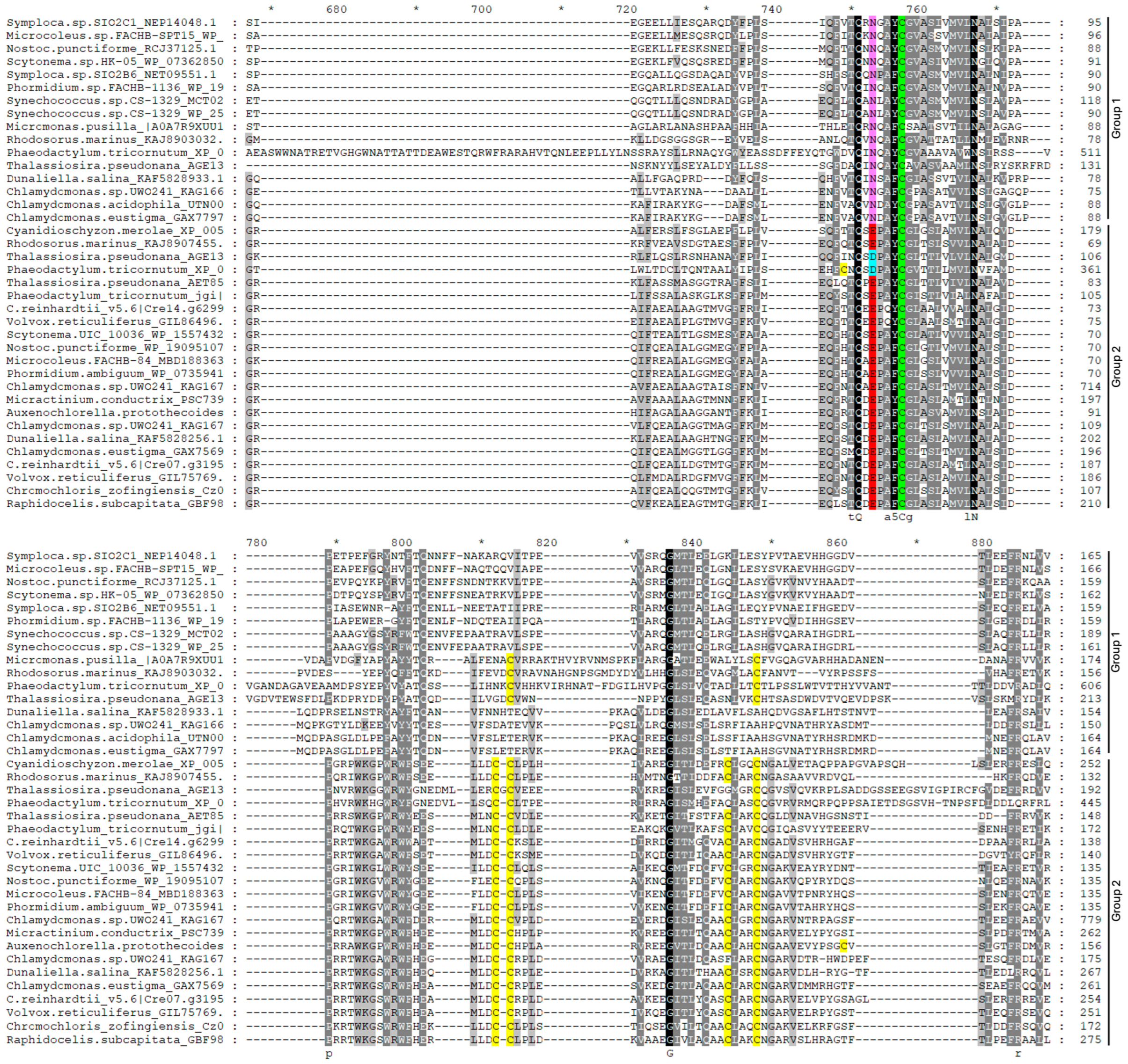 Plants 13 02165 g006