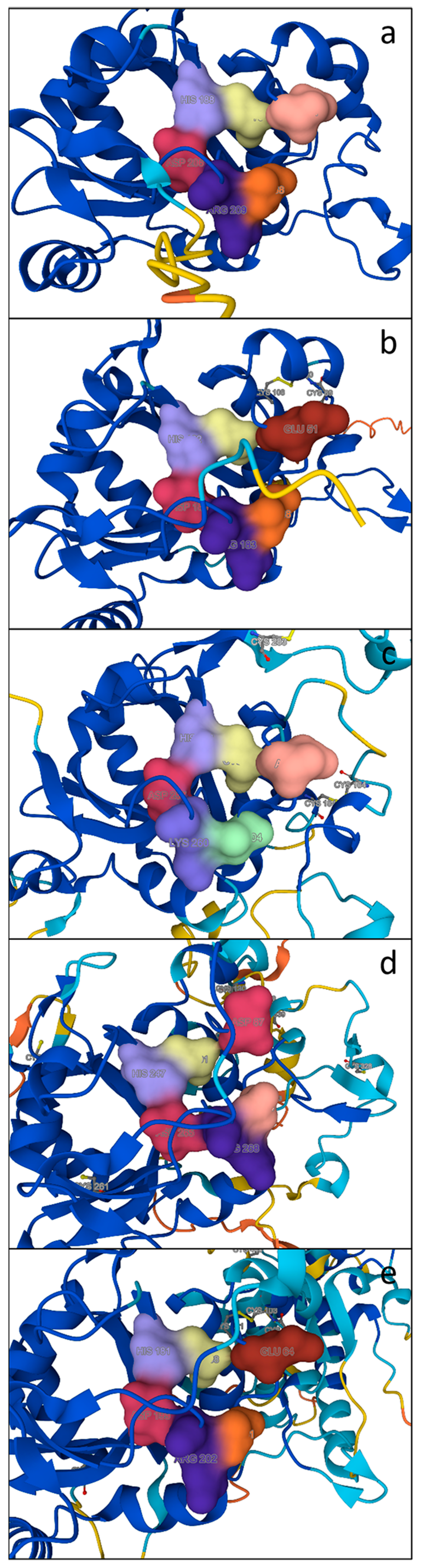 Plants 13 02165 g007