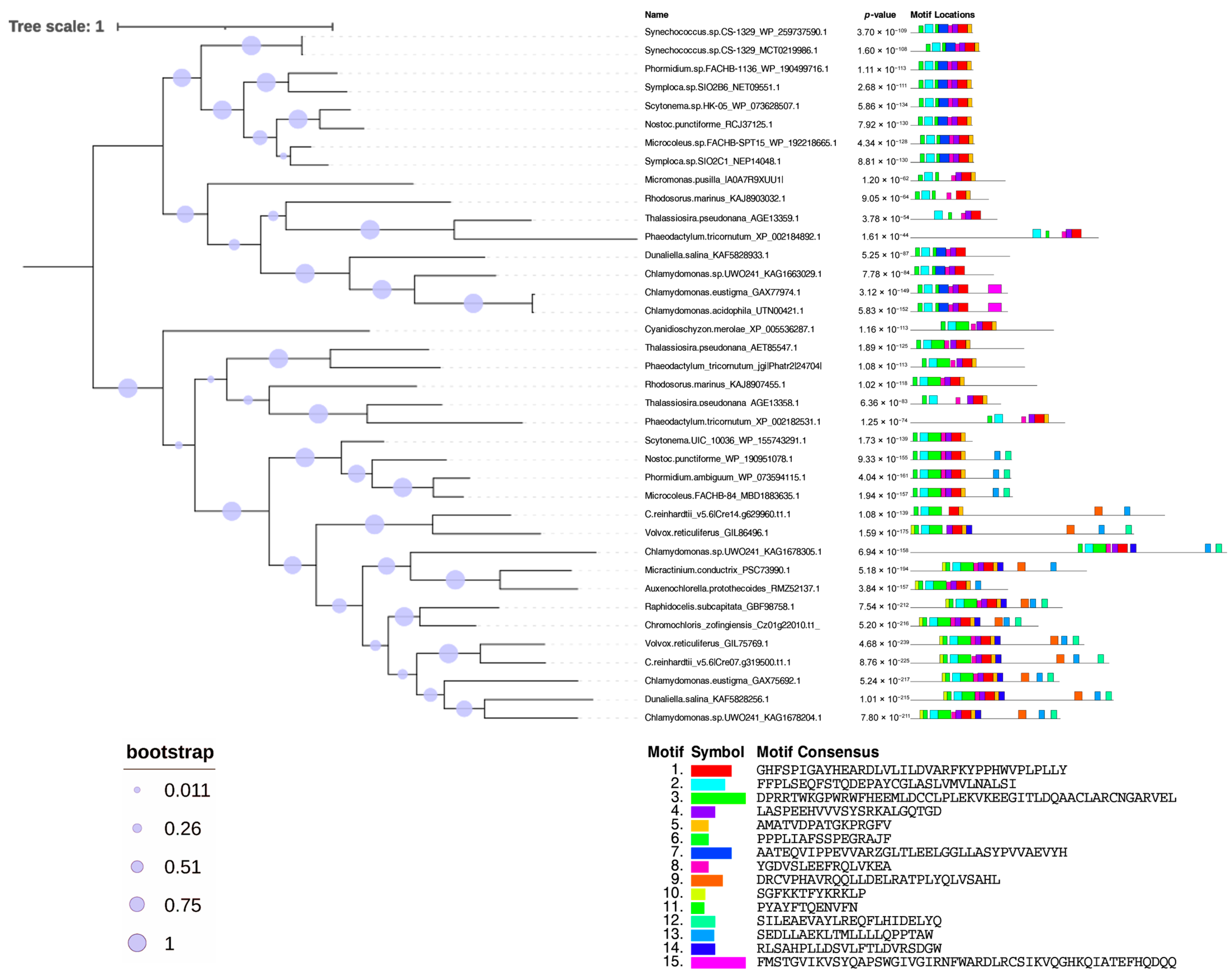Plants 13 02165 g009
