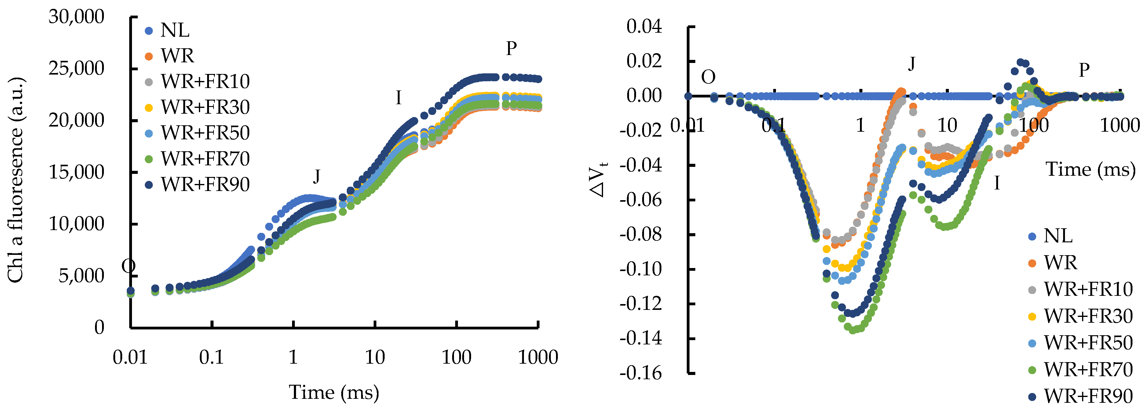 Plants 13 02169 g001
