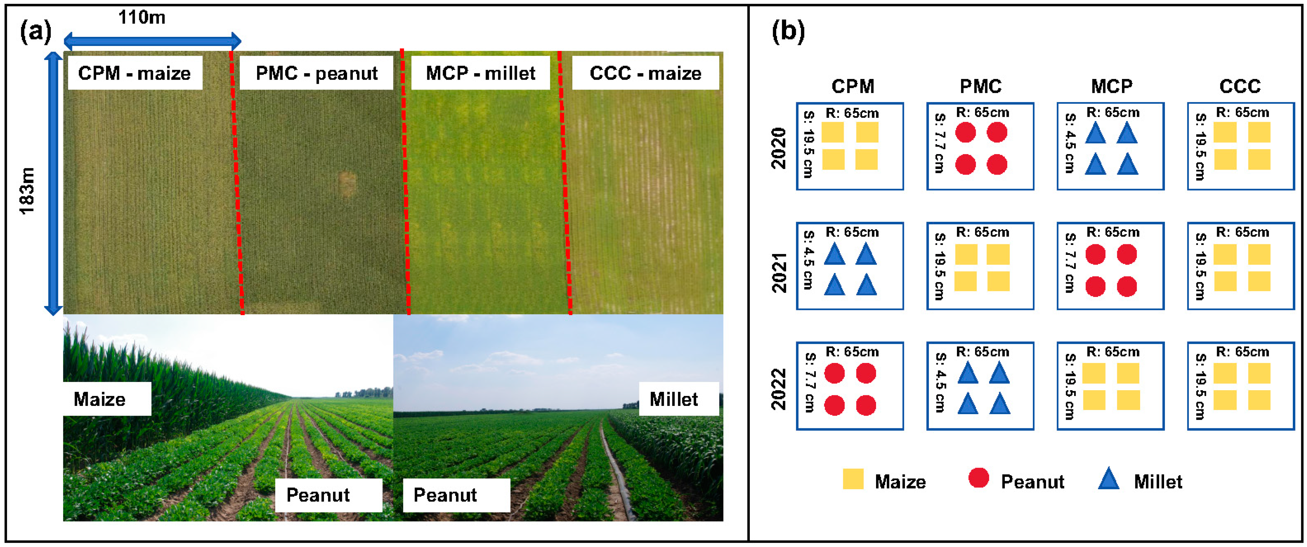 Plants 13 02170 g001