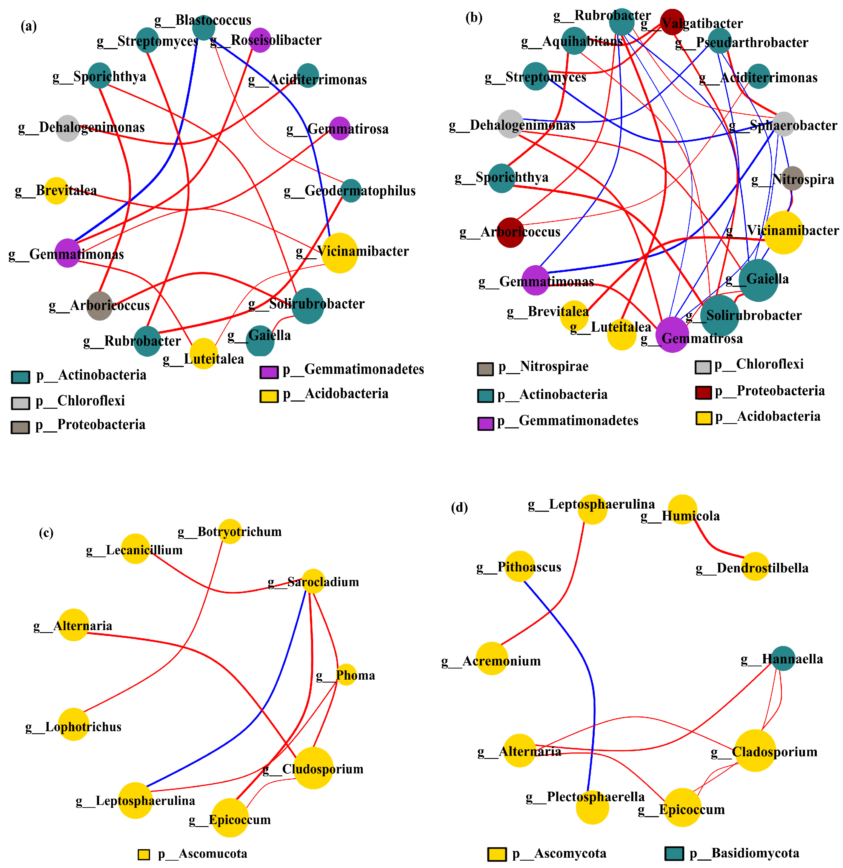 Plants 13 02170 g007