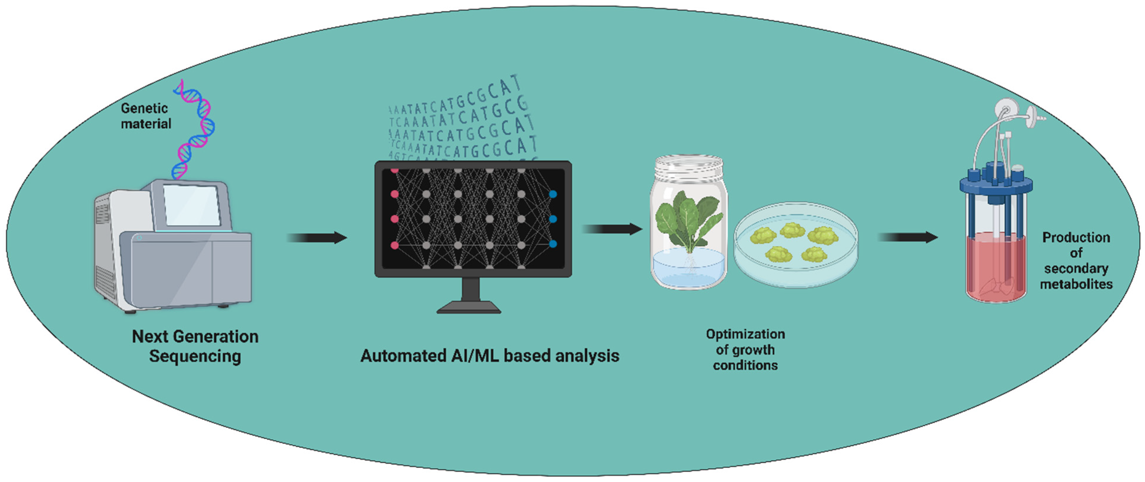 Plants 13 02171 g002