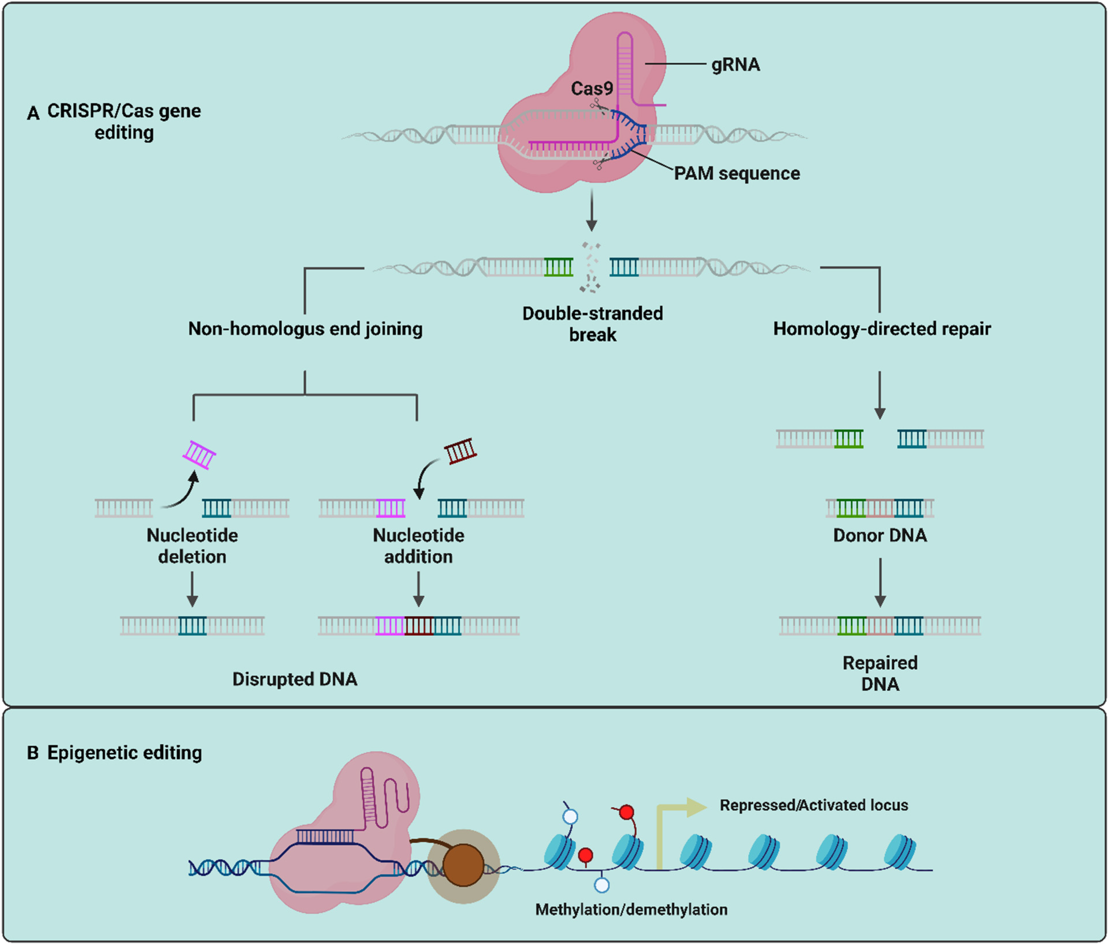 Plants 13 02171 g003