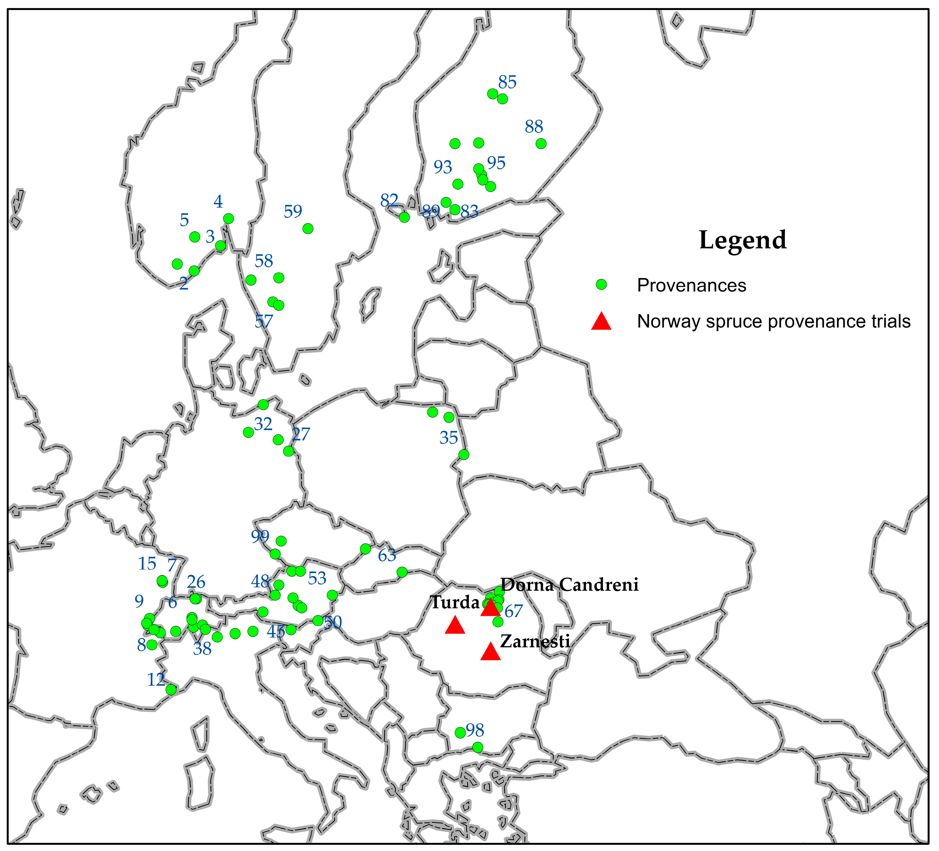 Plants 13 02172 g001