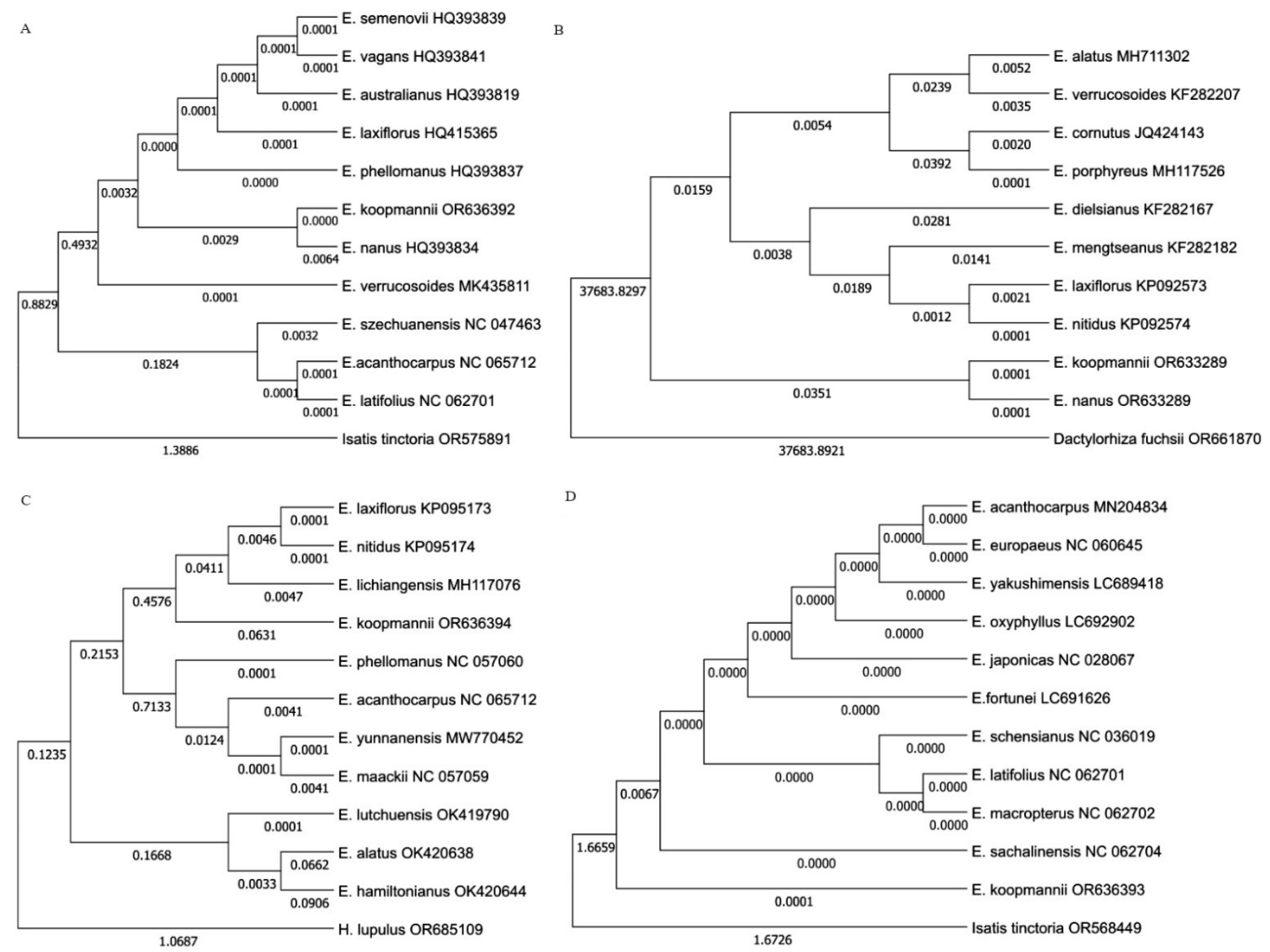 Plants 13 02174 g006