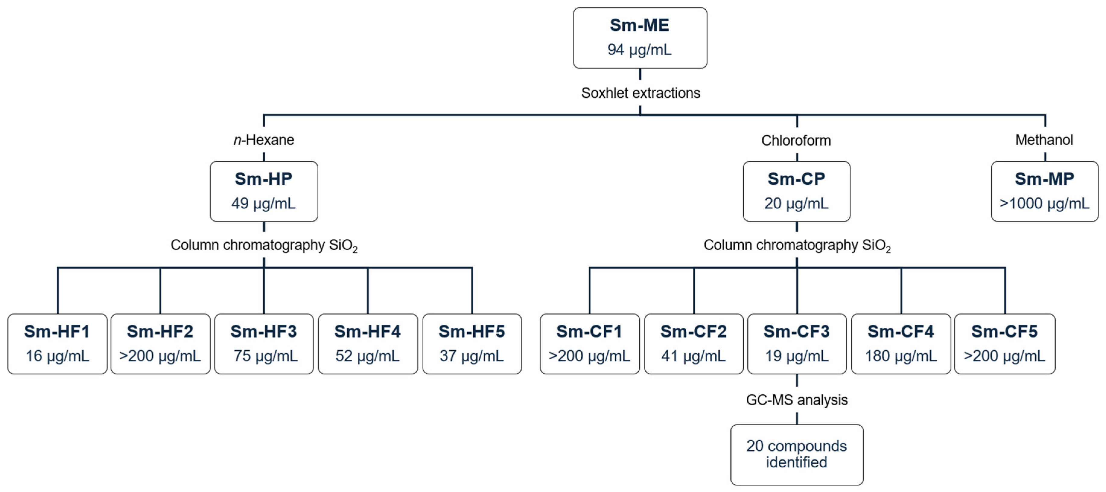 Plants 13 02177 g001
