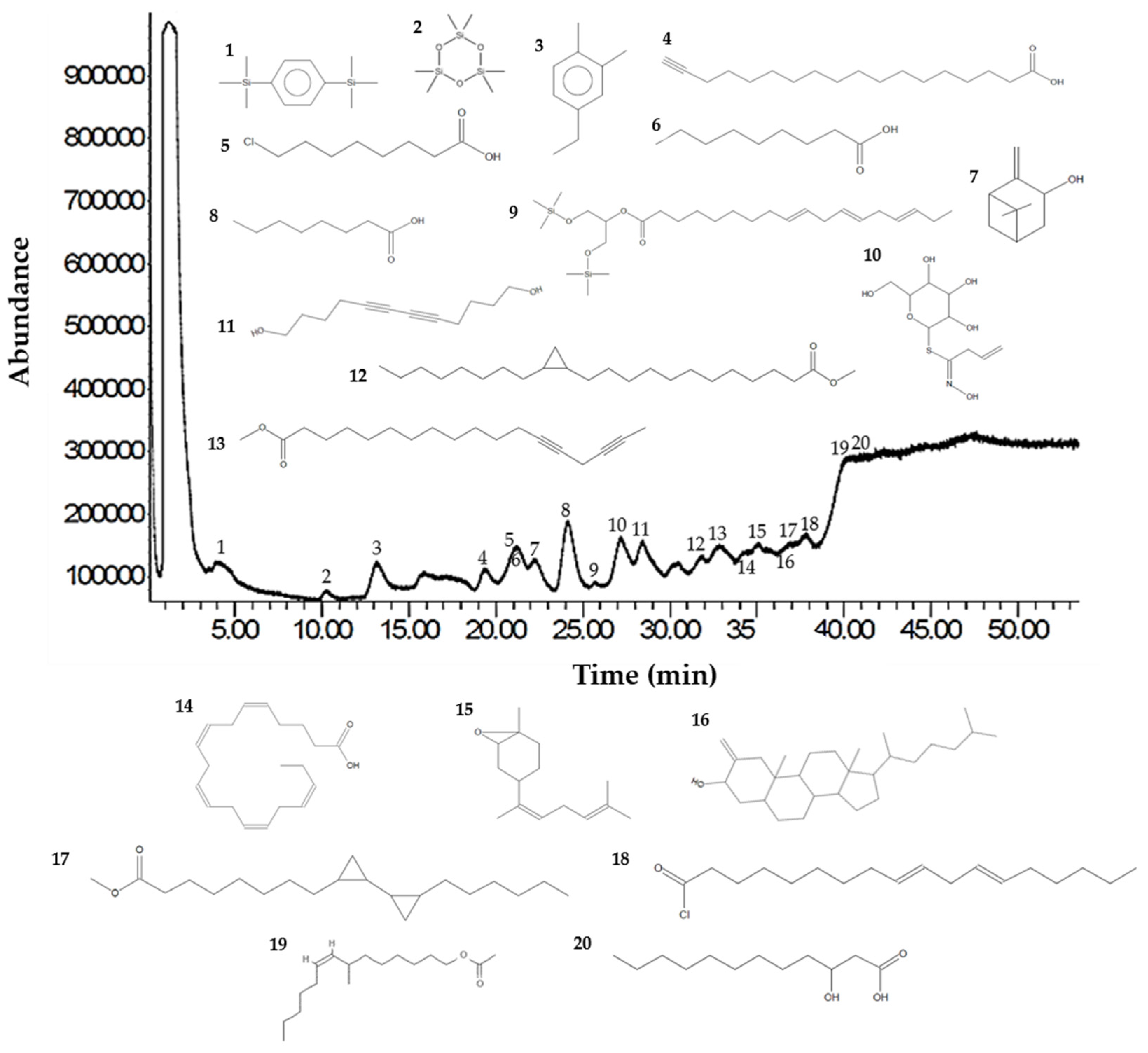 Plants 13 02177 g002