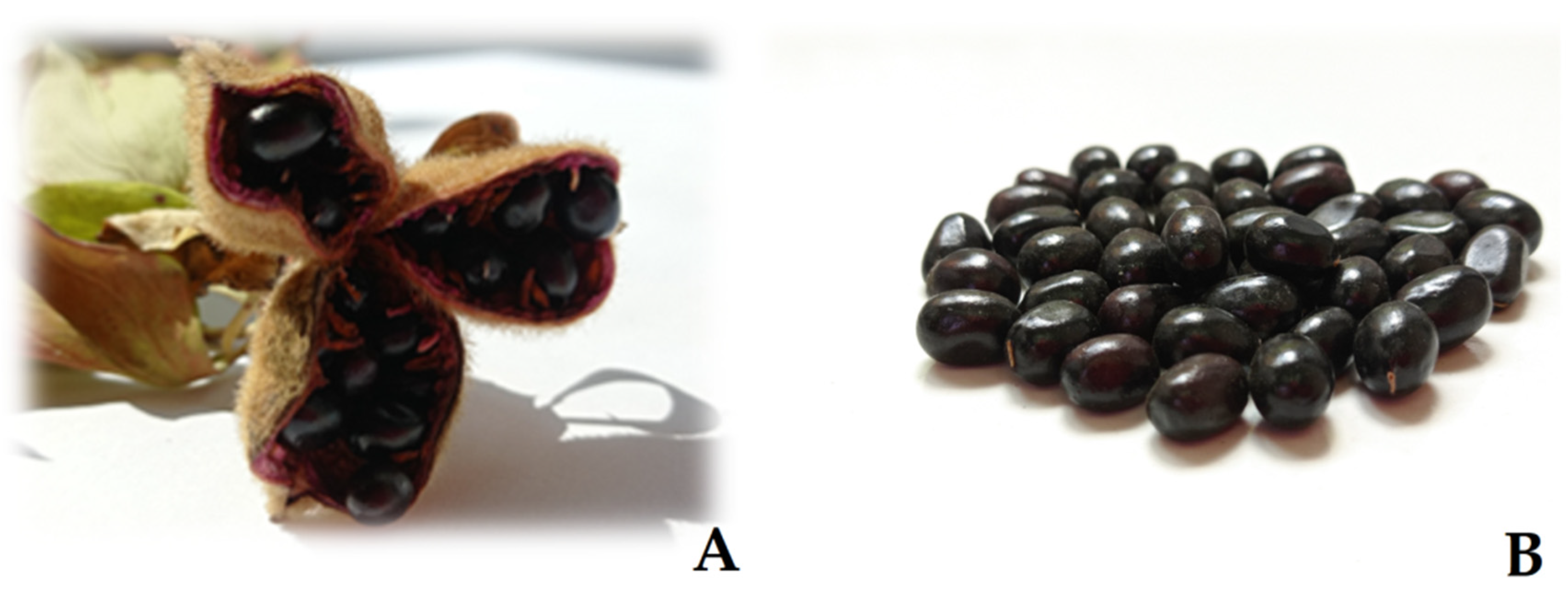 Plants 13 02178 g007