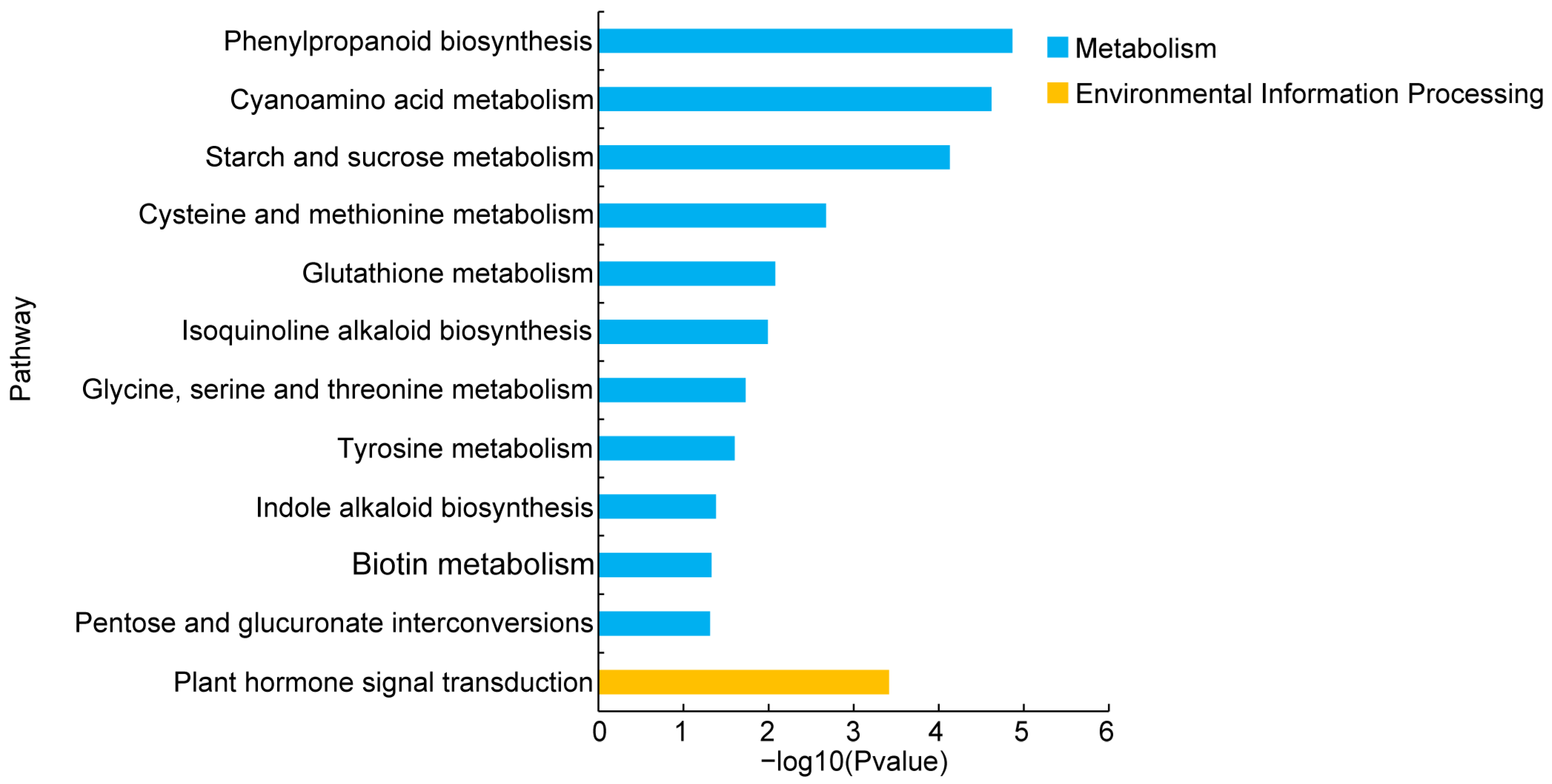 Plants 13 02181 g008