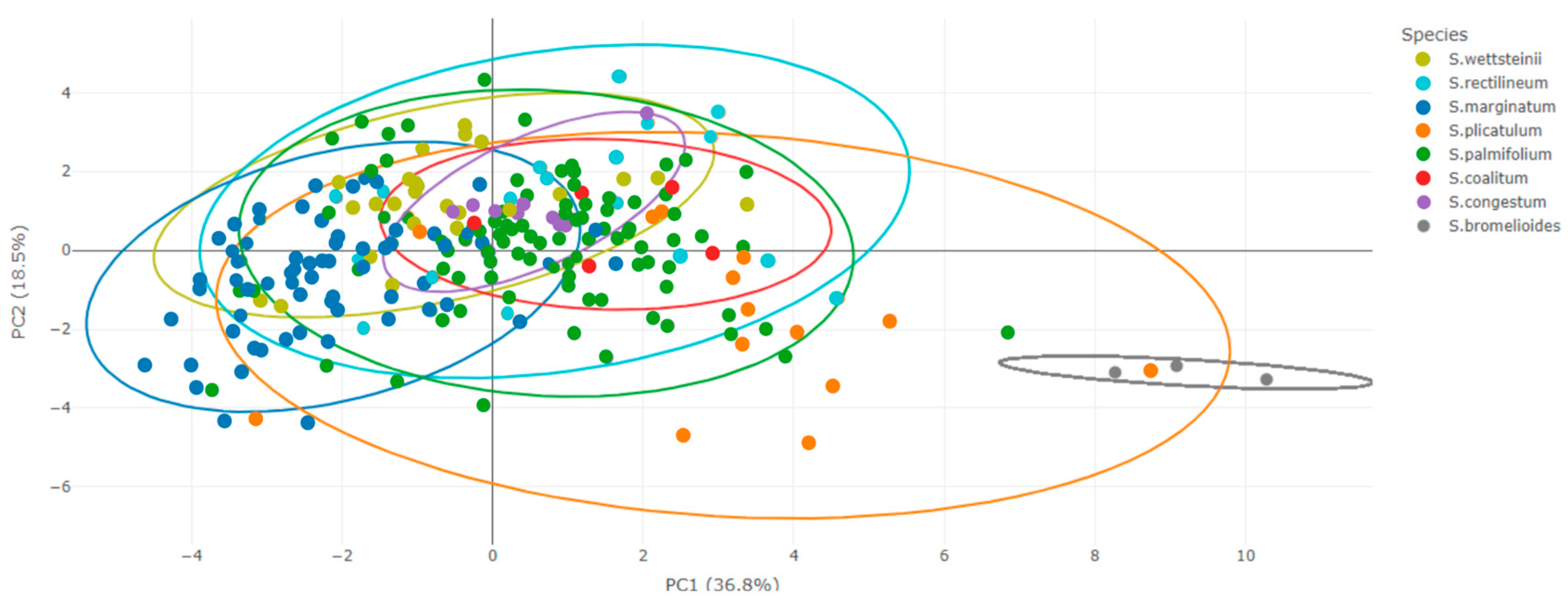 Plants 13 02183 g003