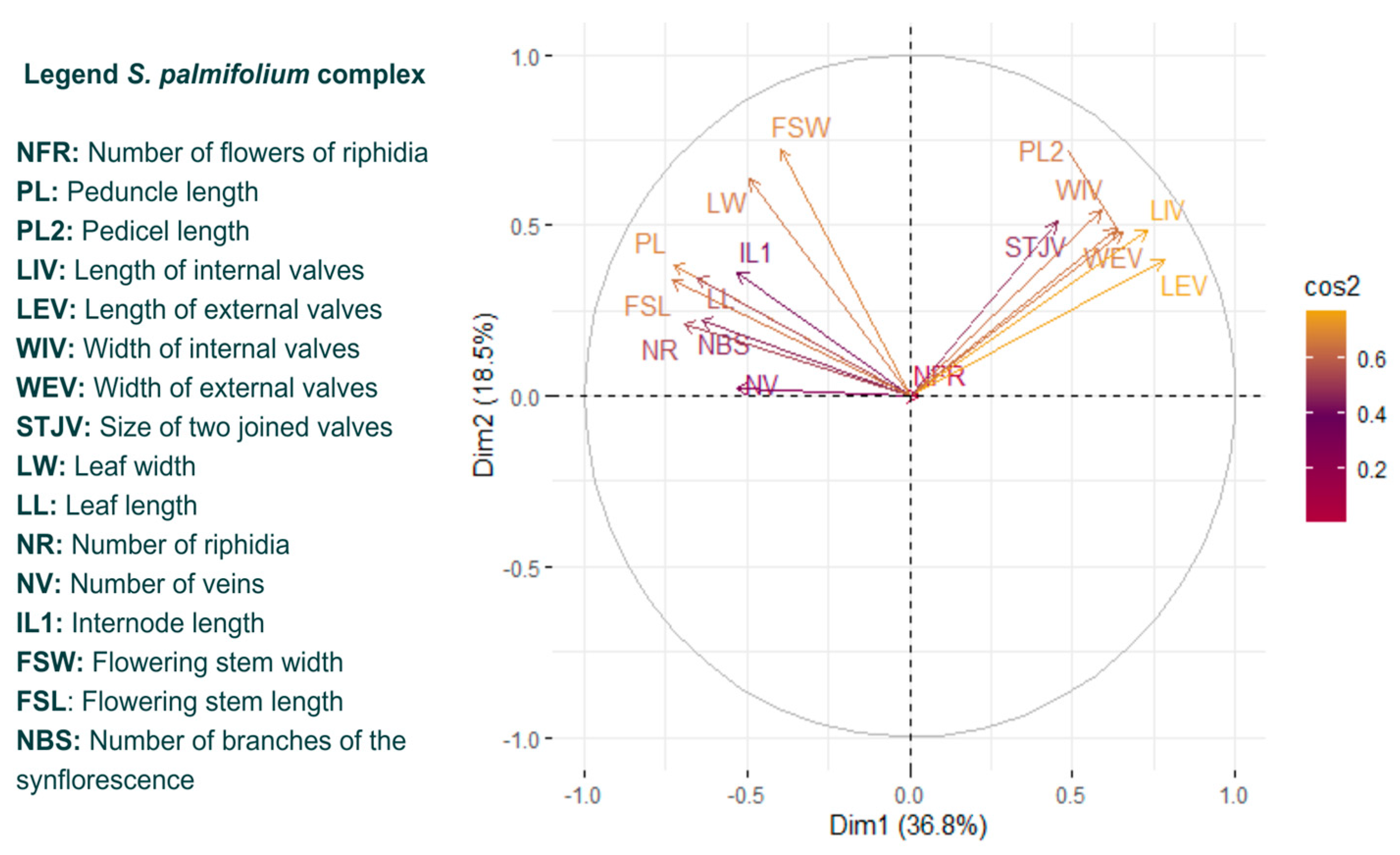 Plants 13 02183 g004