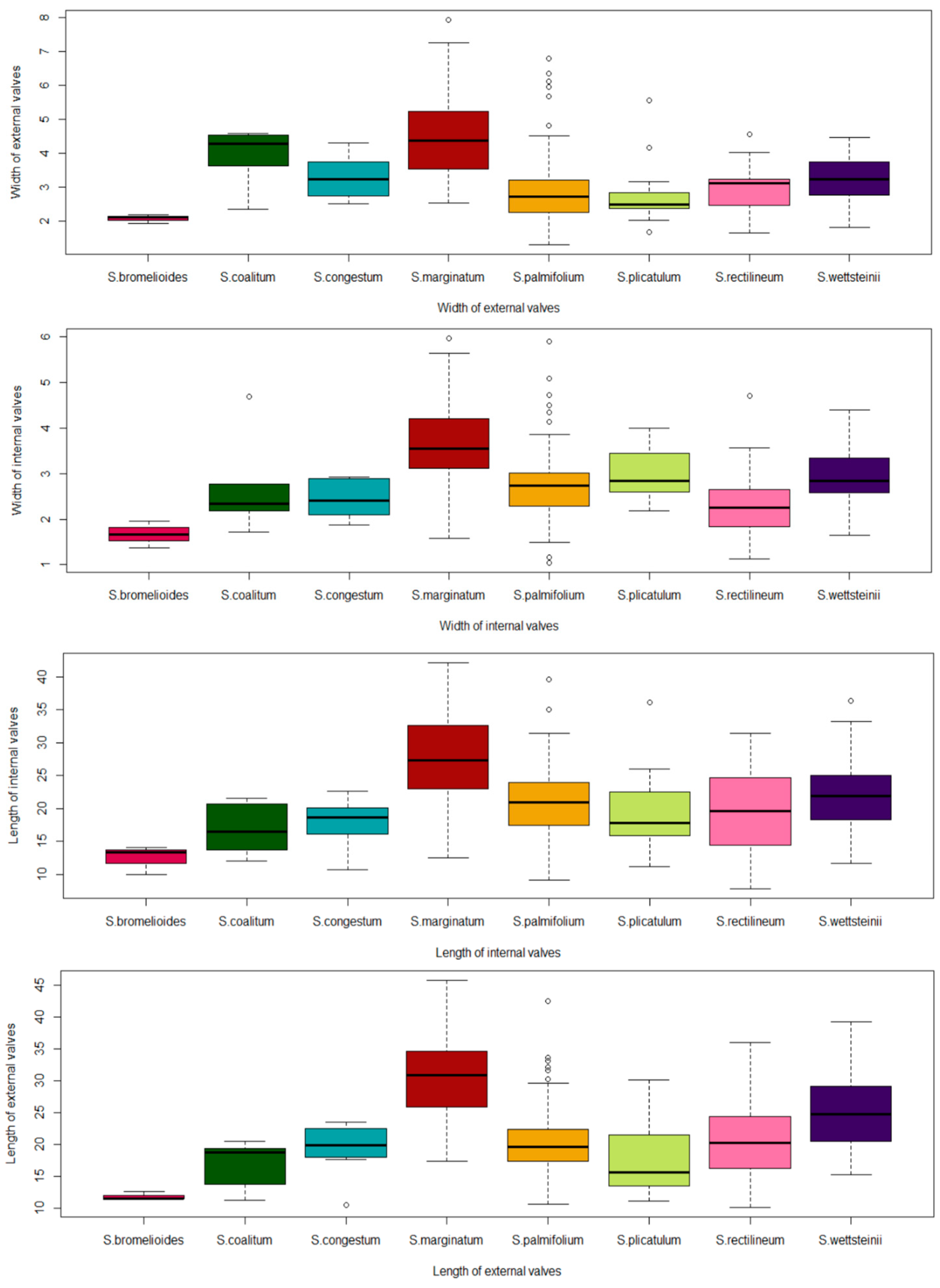 Plants 13 02183 g005