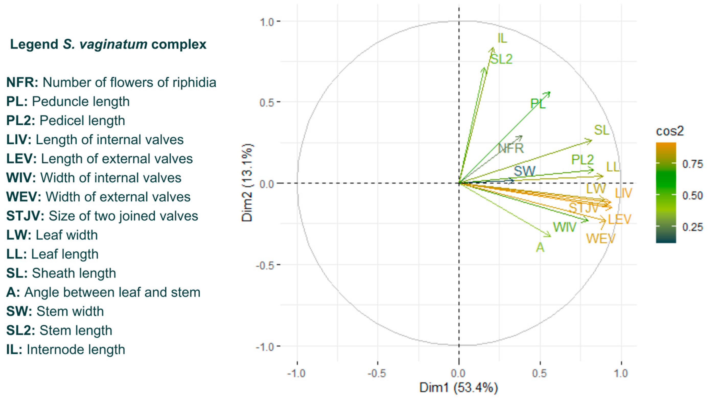 Plants 13 02183 g008