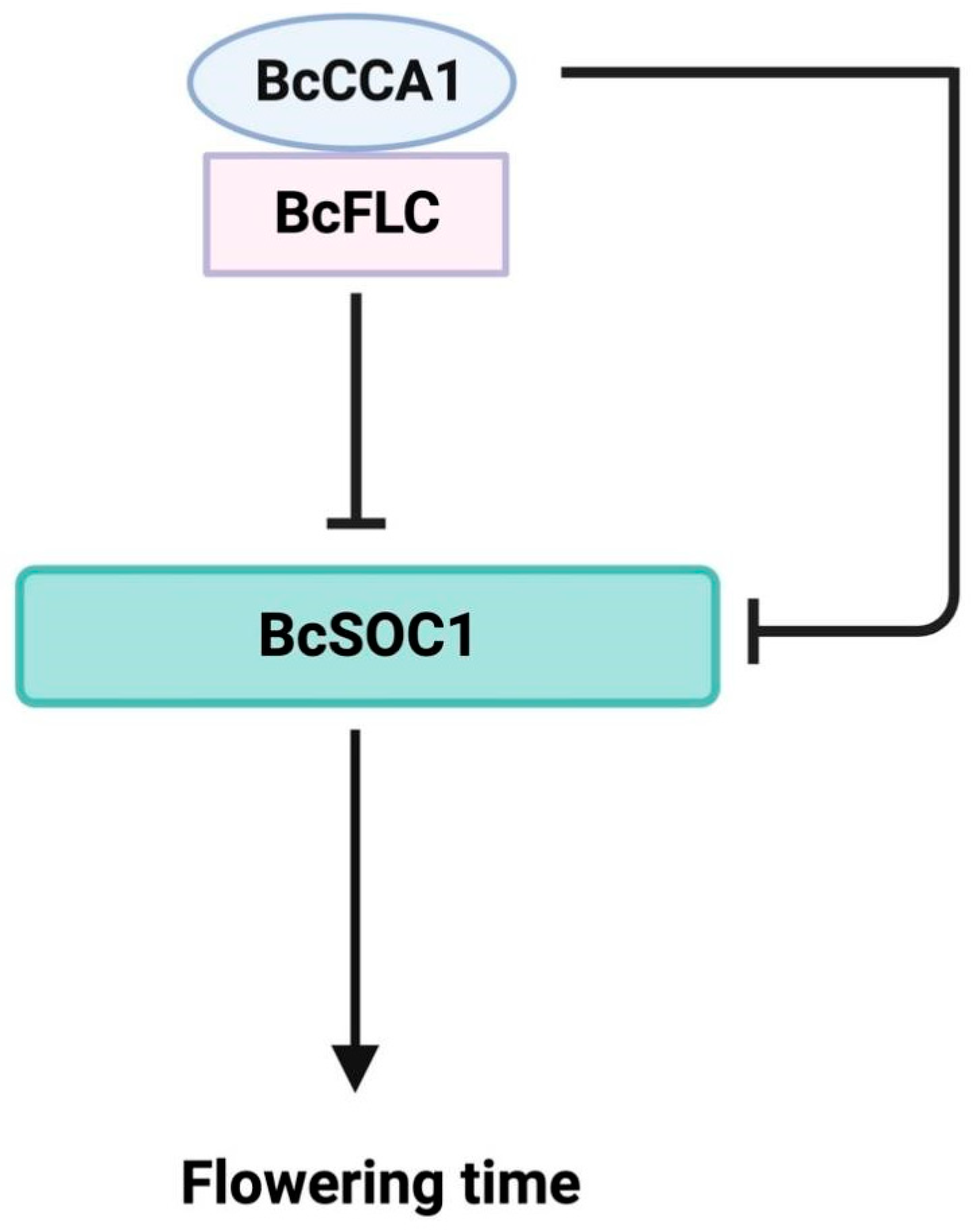 Plants 13 02190 g006