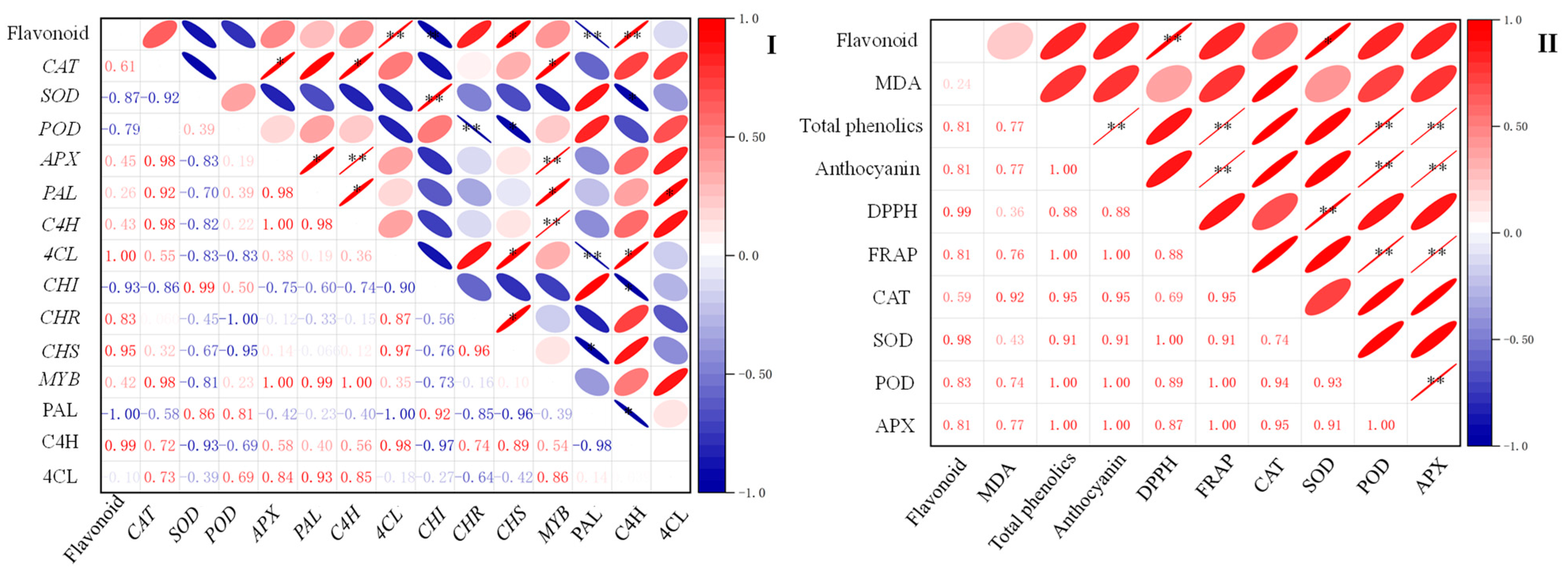 Plants 13 02191 g007