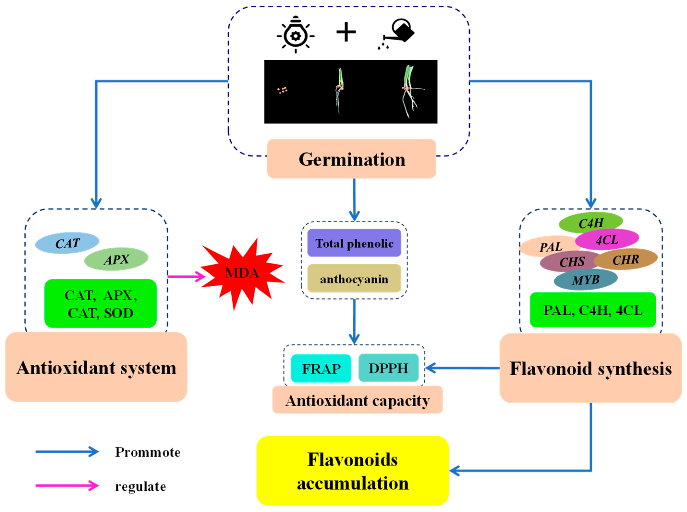 Plants 13 02191 g008