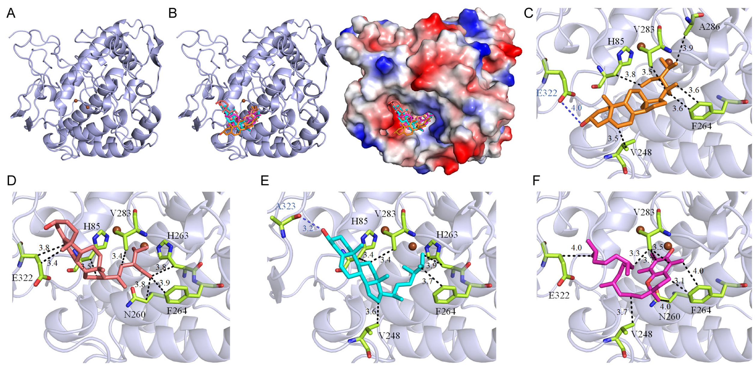 Plants 13 02194 g001